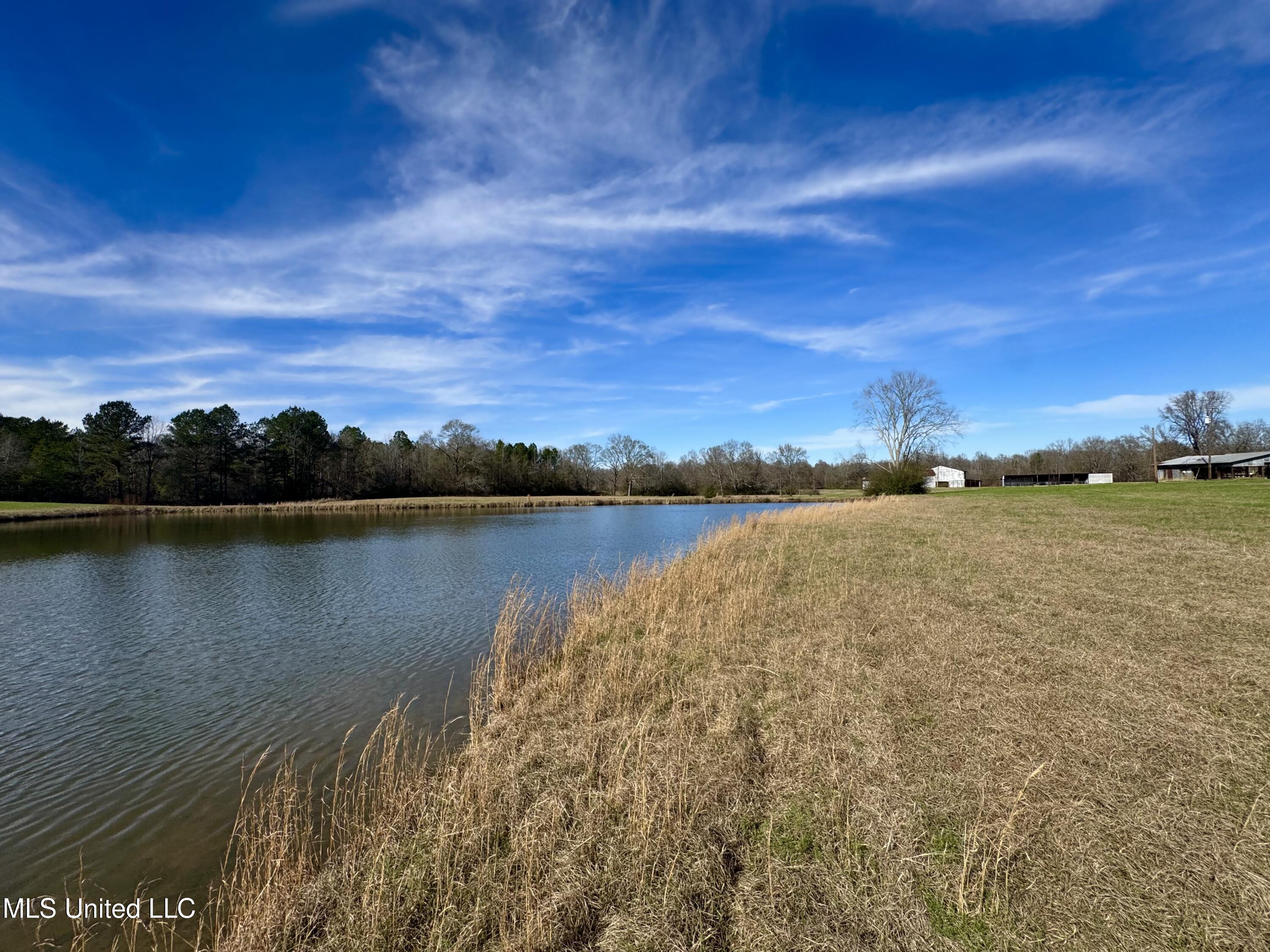 2720 Davis Road Property Photo 8