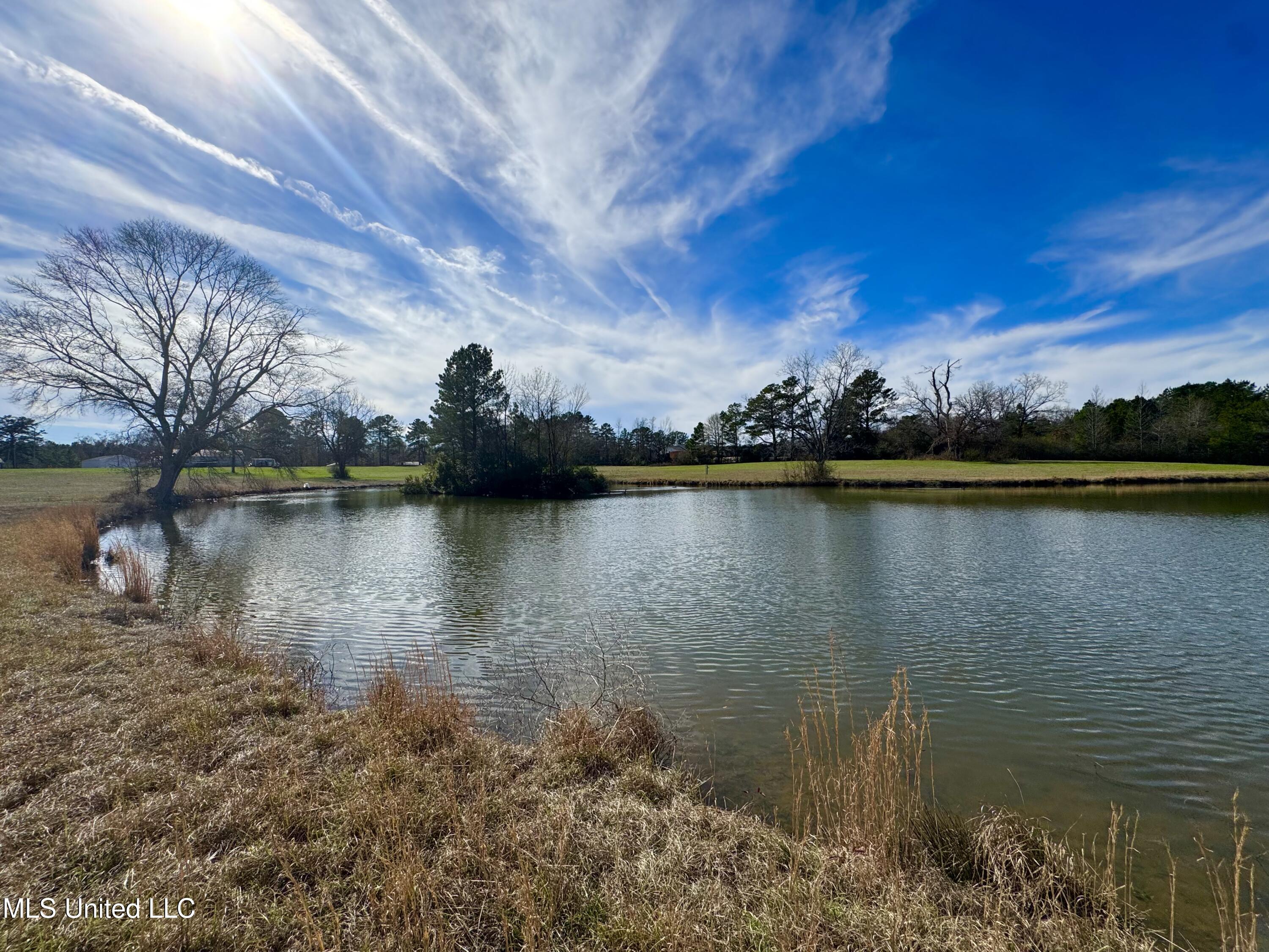 2720 Davis Road Property Photo 9