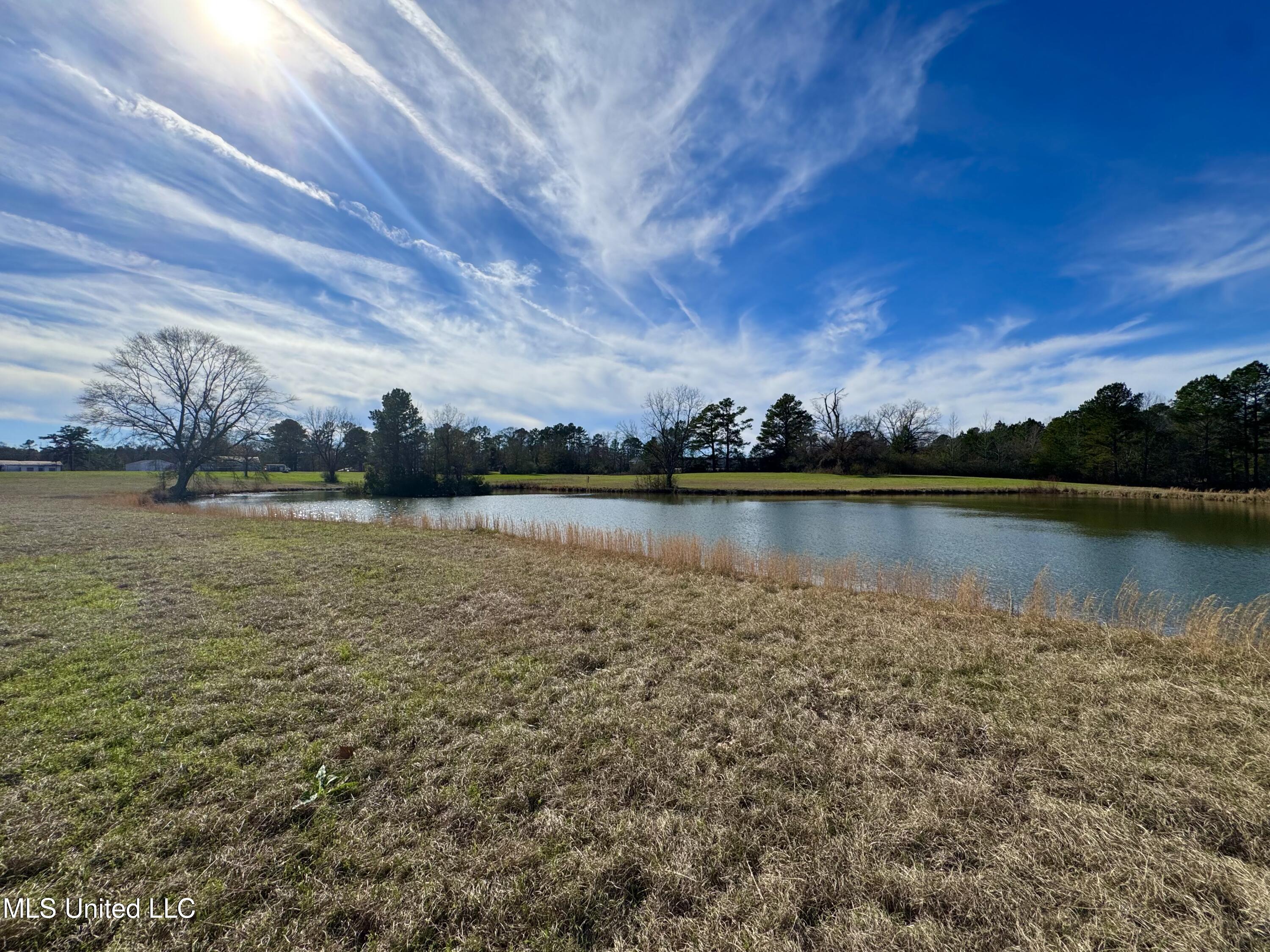 2720 Davis Road Property Photo 10