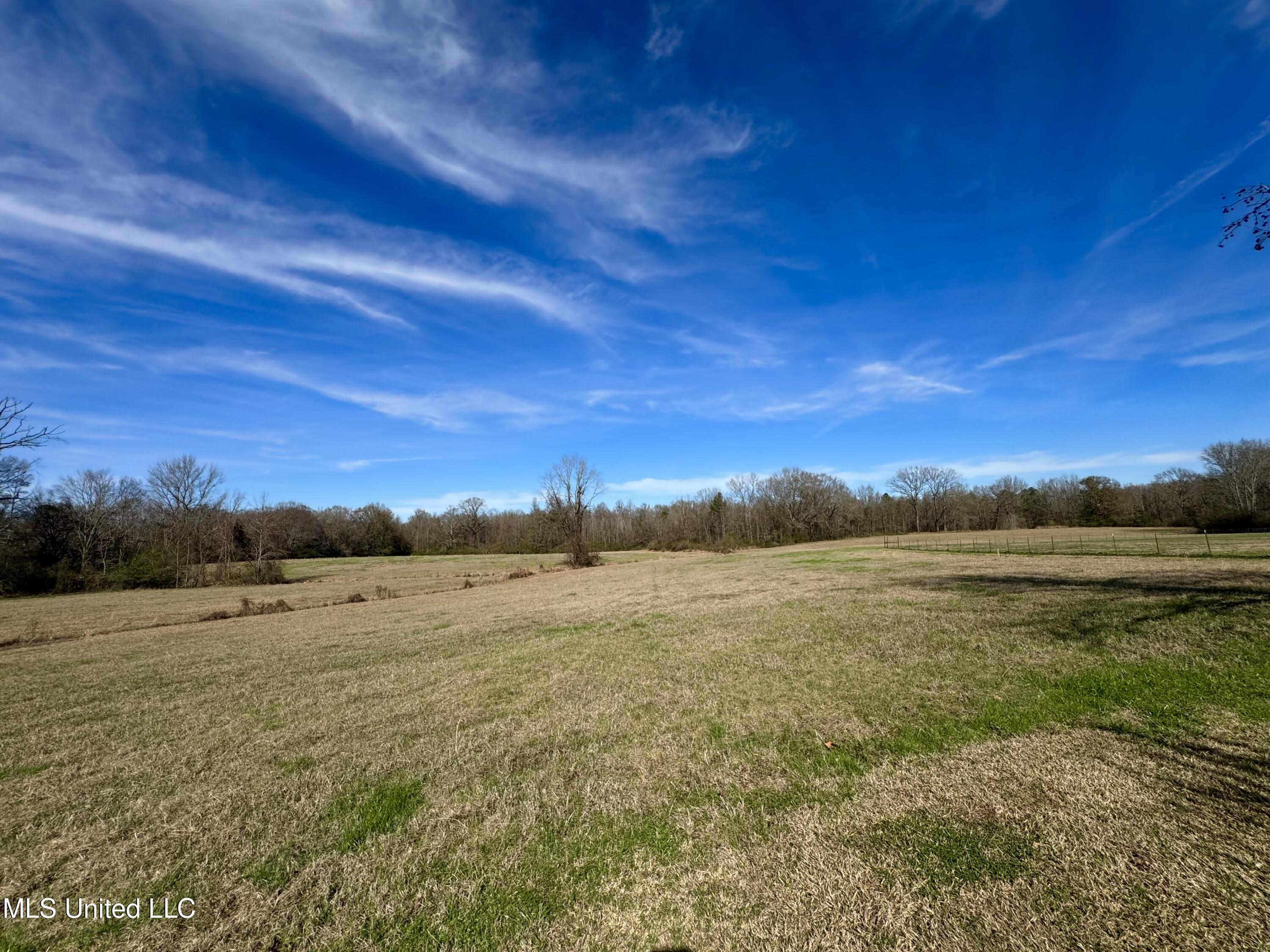 2720 Davis Road Property Photo 11