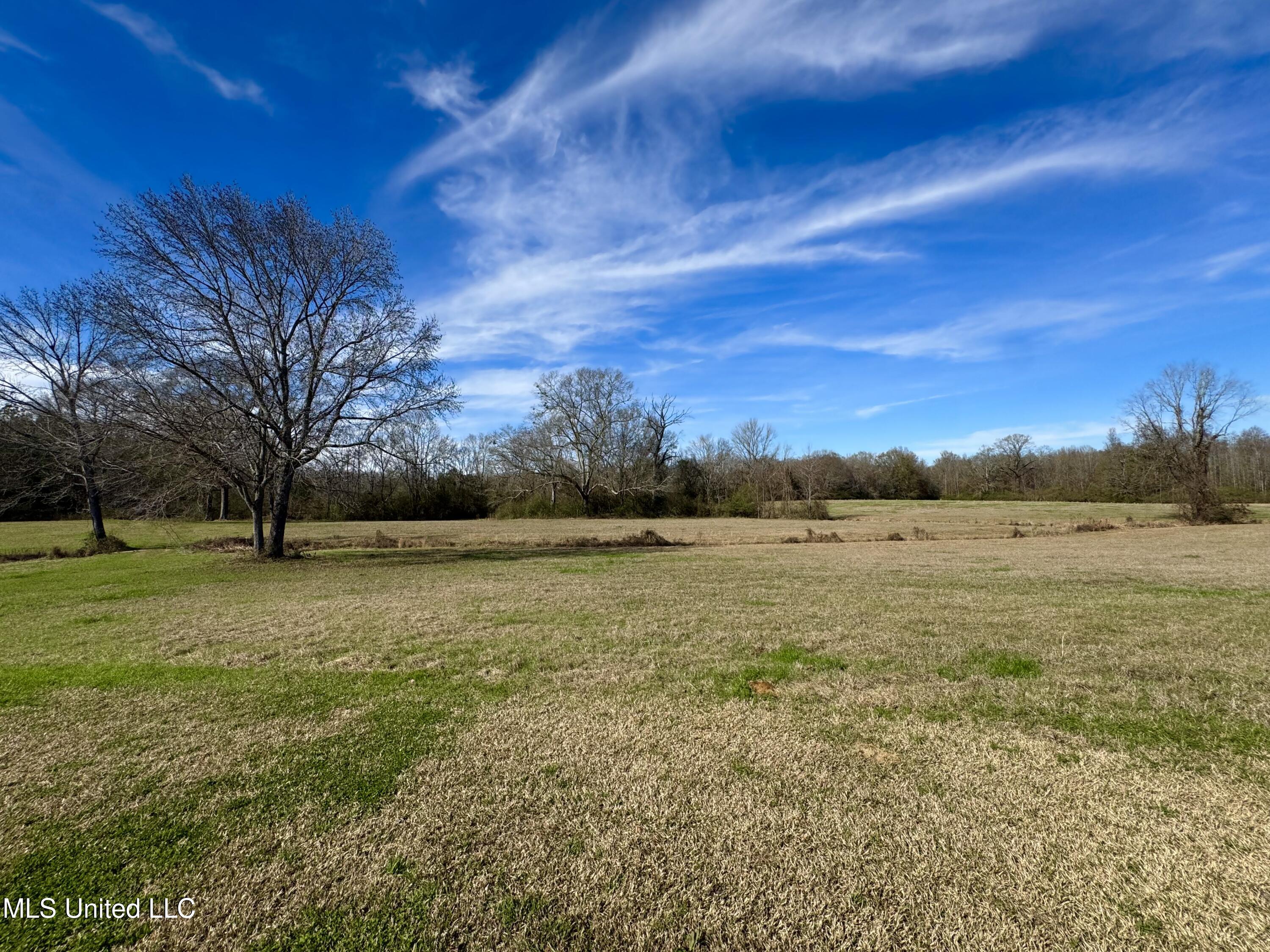 2720 Davis Road Property Photo 12