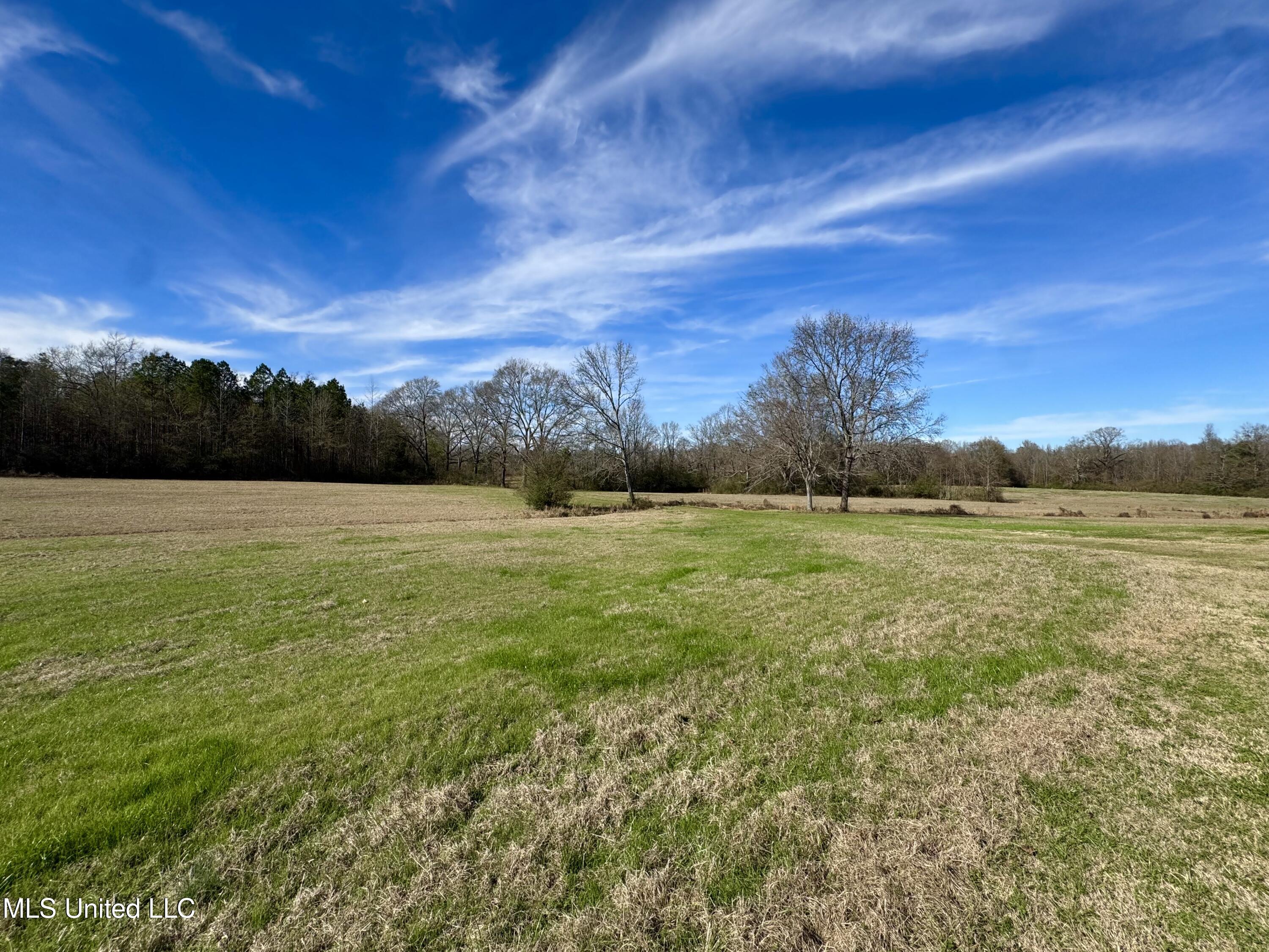 2720 Davis Road Property Photo 13