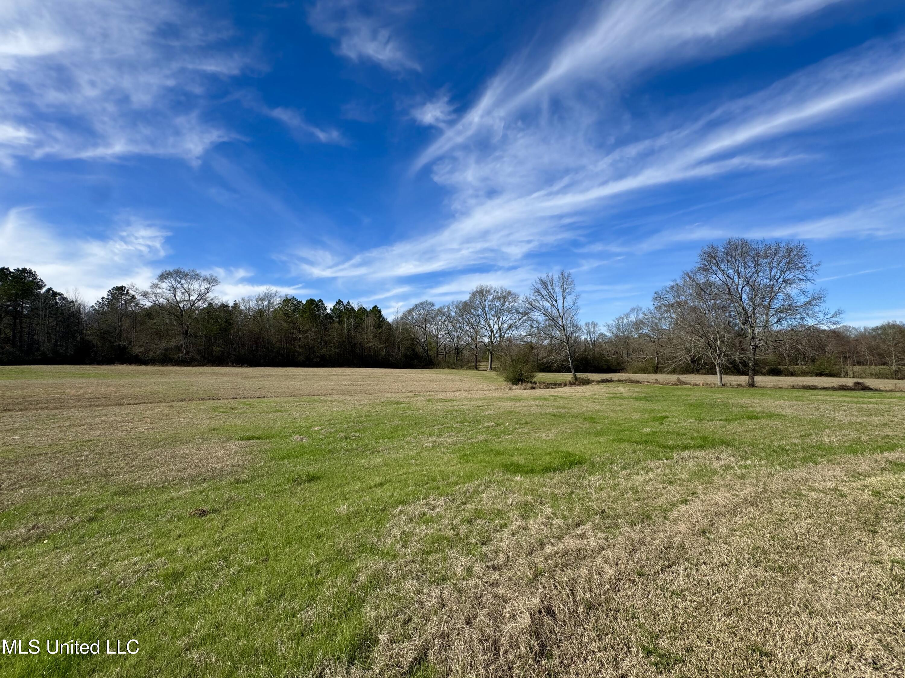 2720 Davis Road Property Photo 15