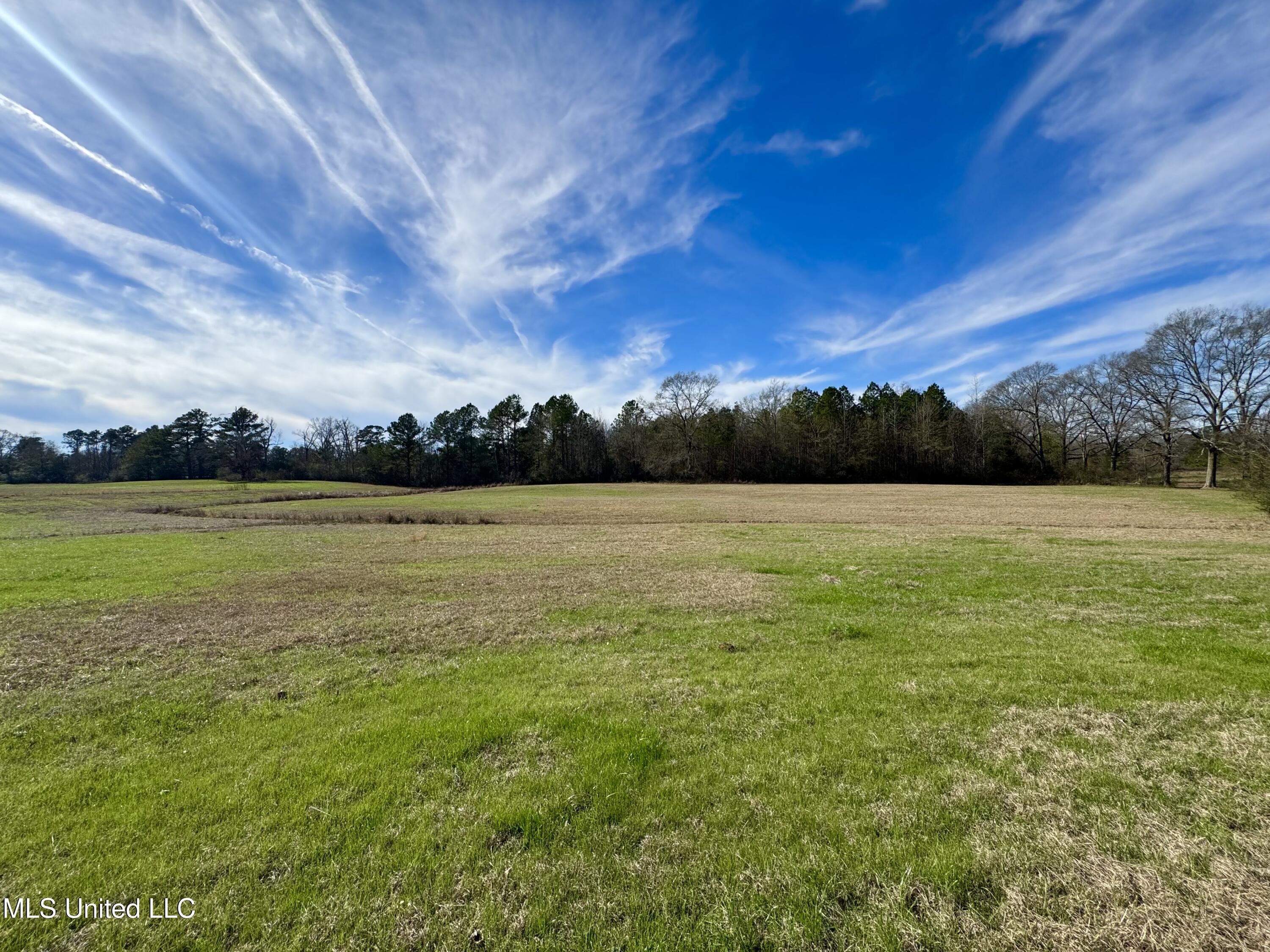 2720 Davis Road Property Photo 16