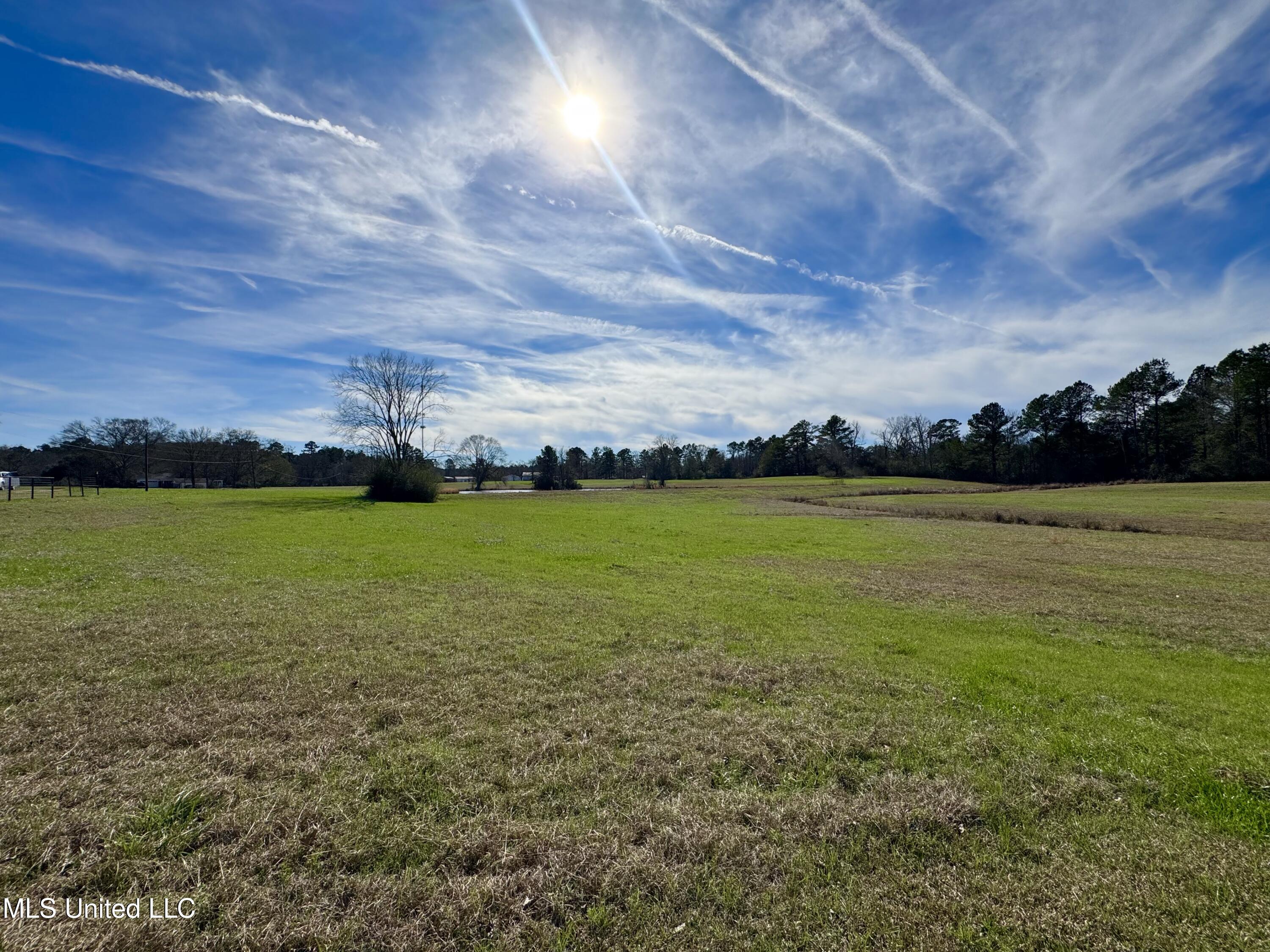 2720 Davis Road Property Photo 17