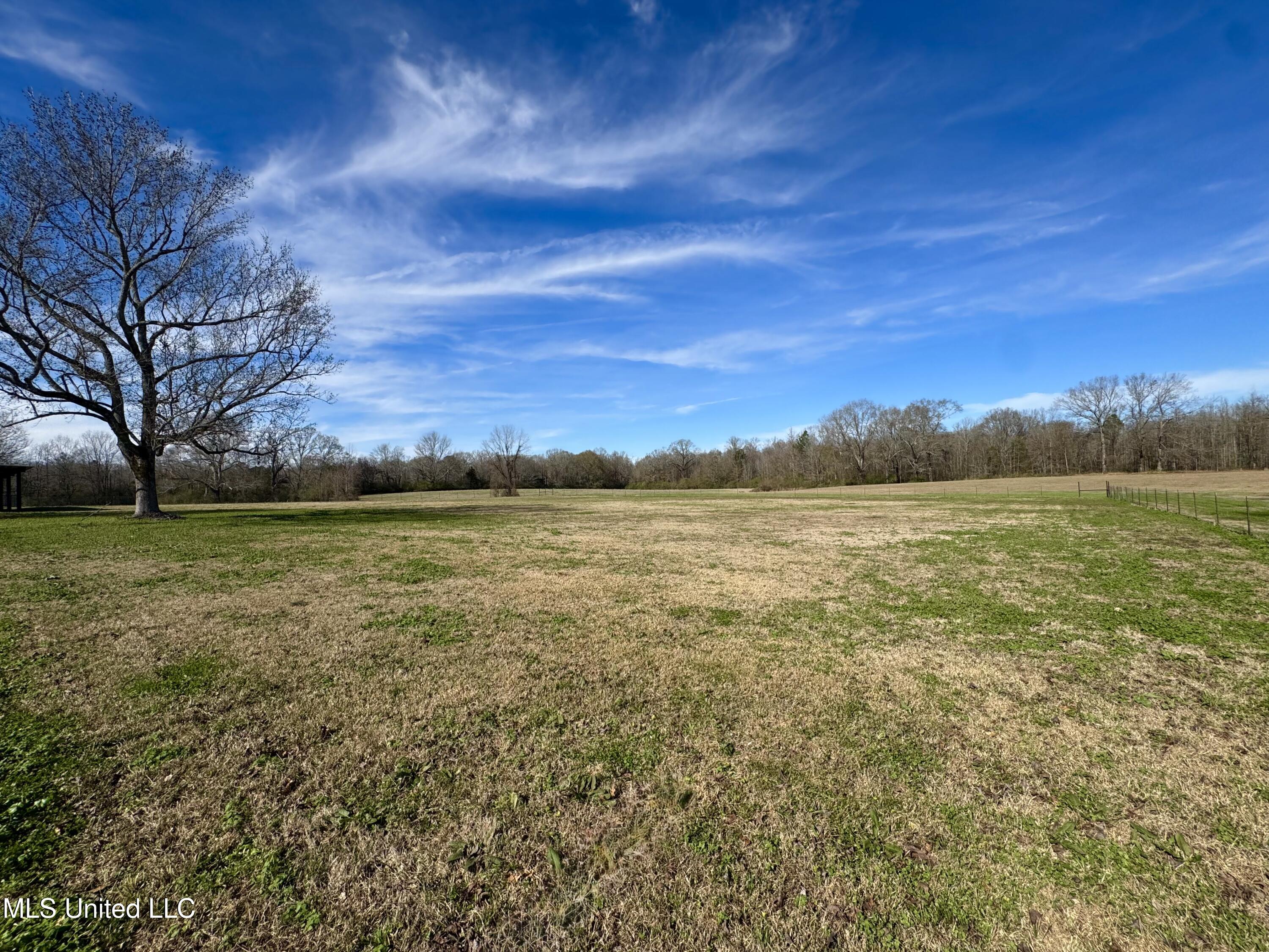 2720 Davis Road Property Photo 25
