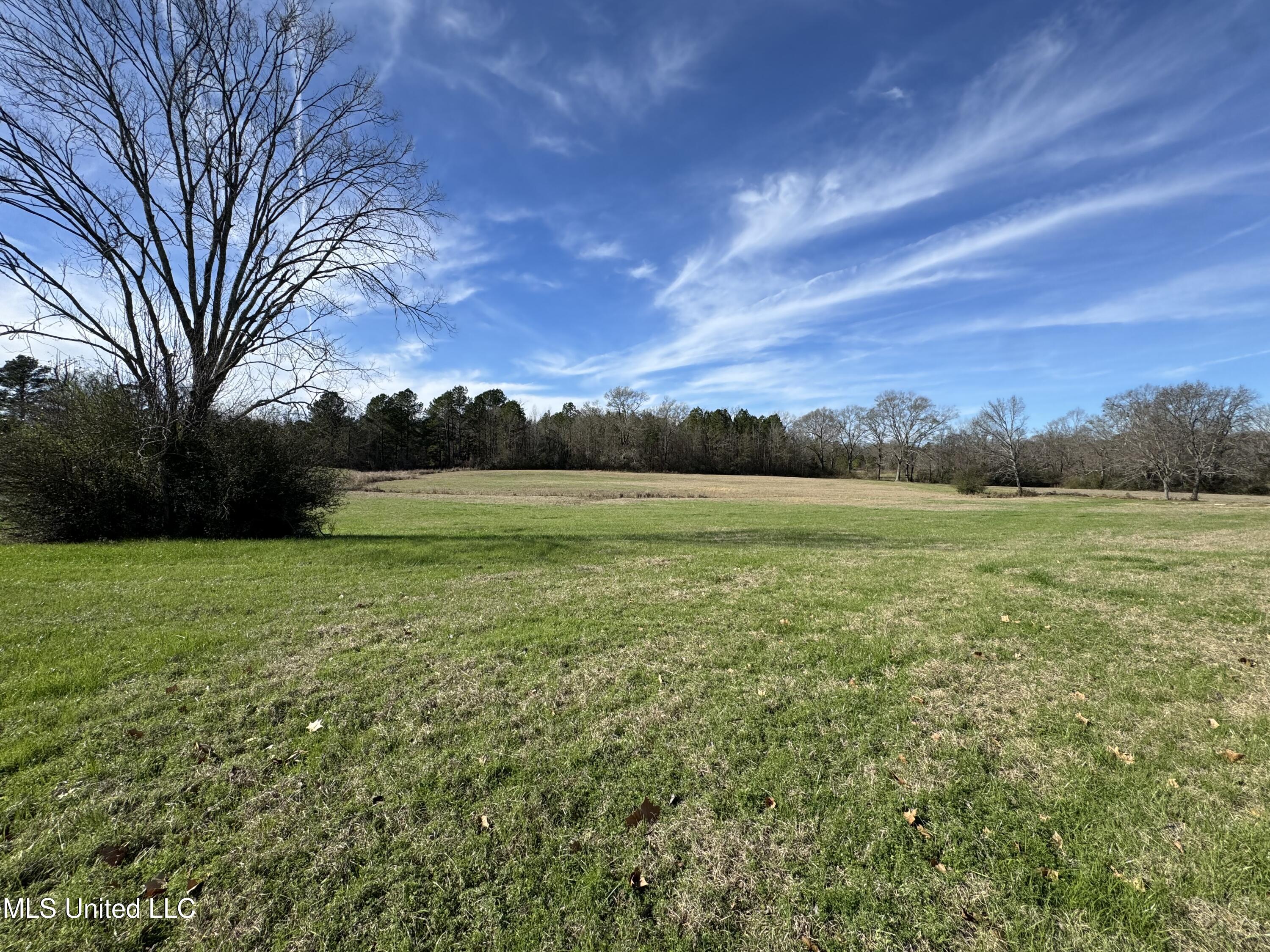 2720 Davis Road Property Photo 37