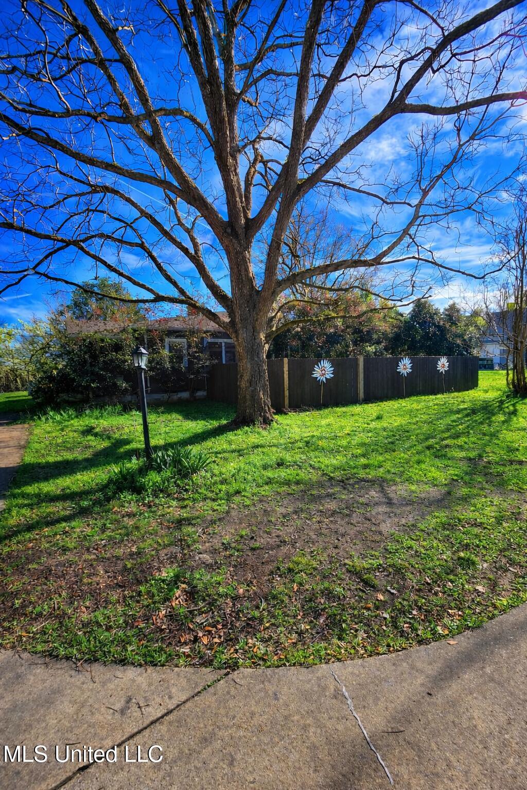 1079 Beech Street Property Photo 3