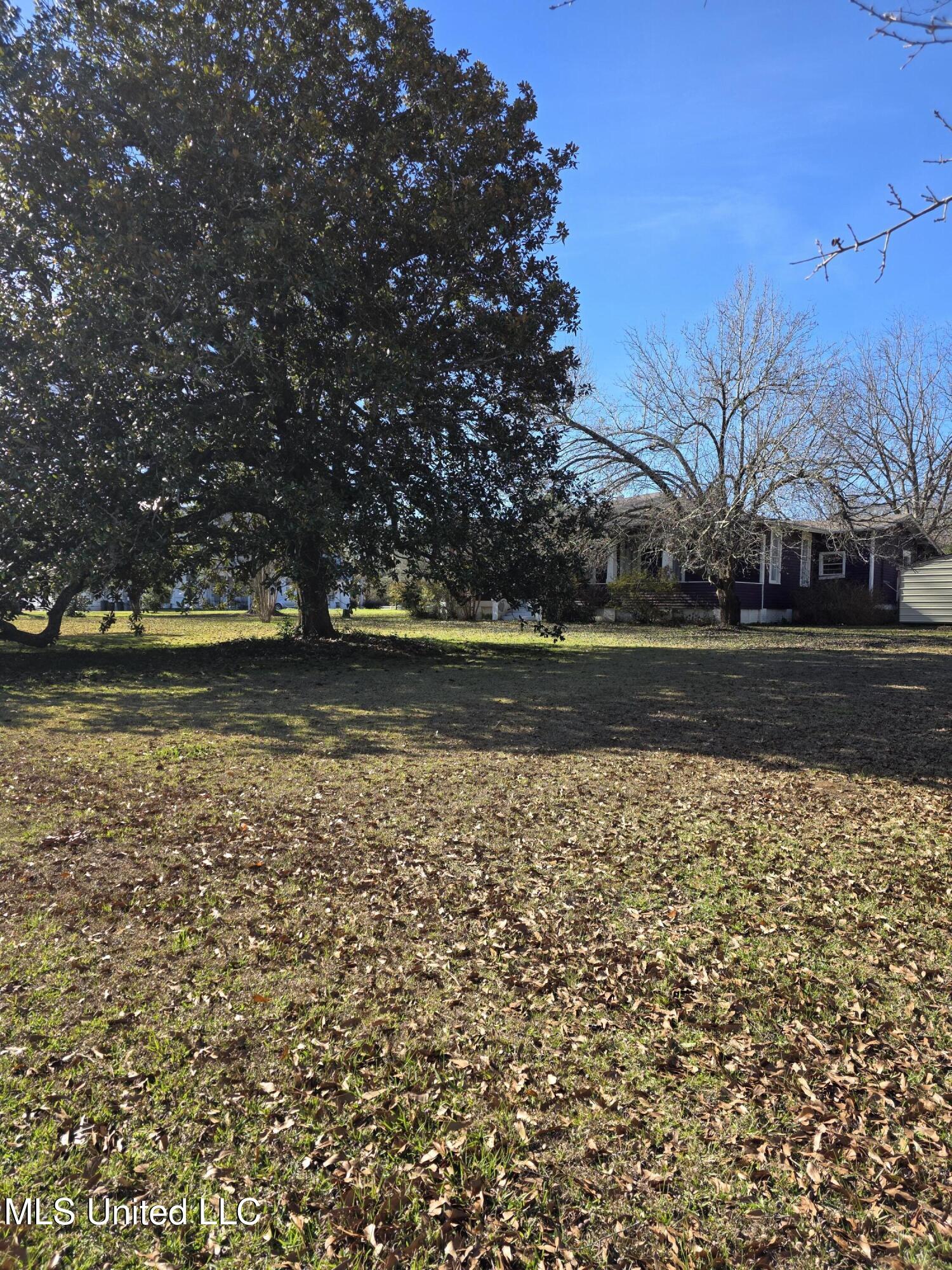 1079 Beech Street Property Photo 5