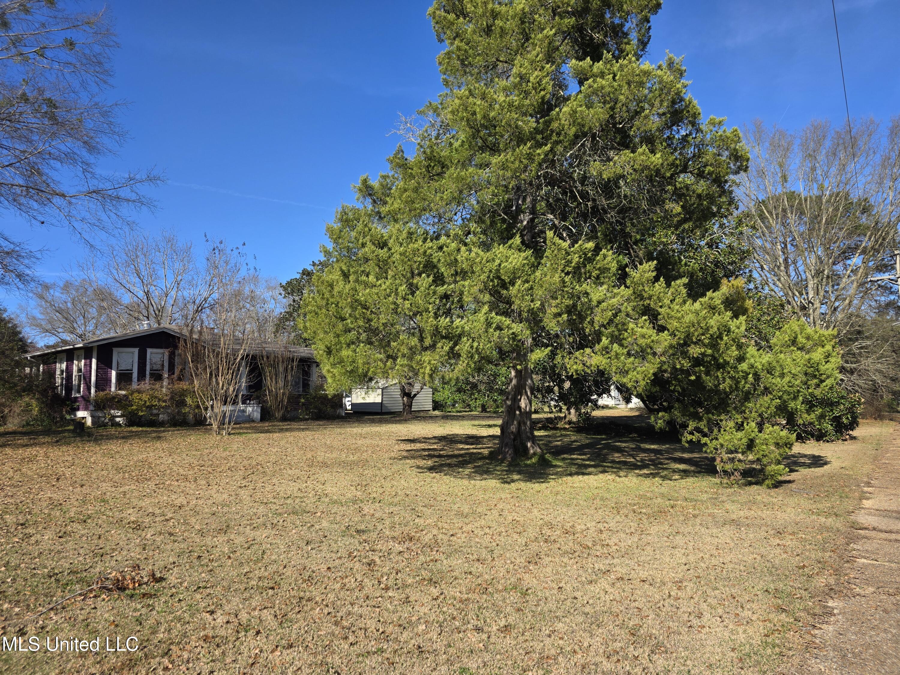 1079 Beech Street Property Photo 8