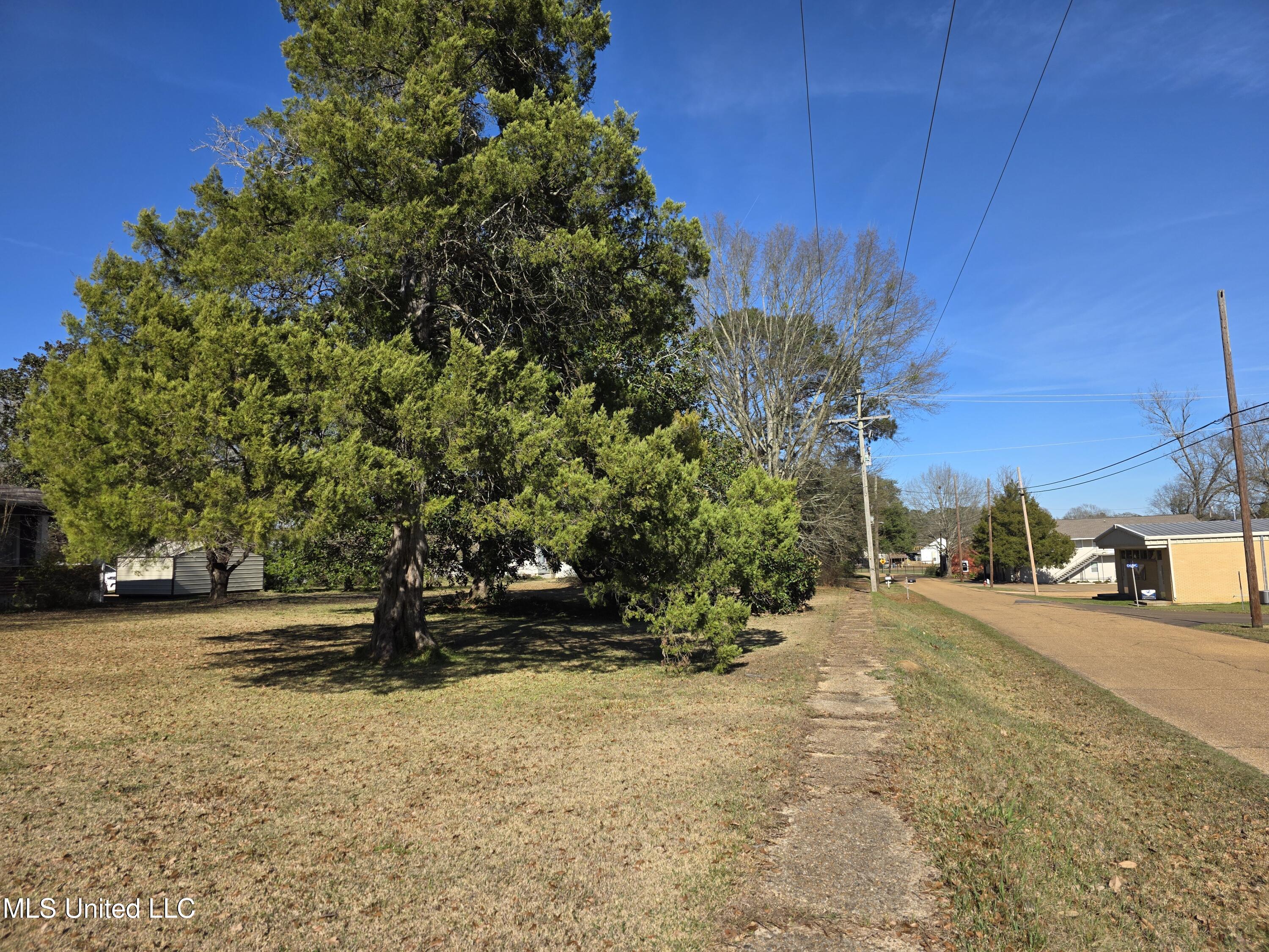 1079 Beech Street Property Photo 9