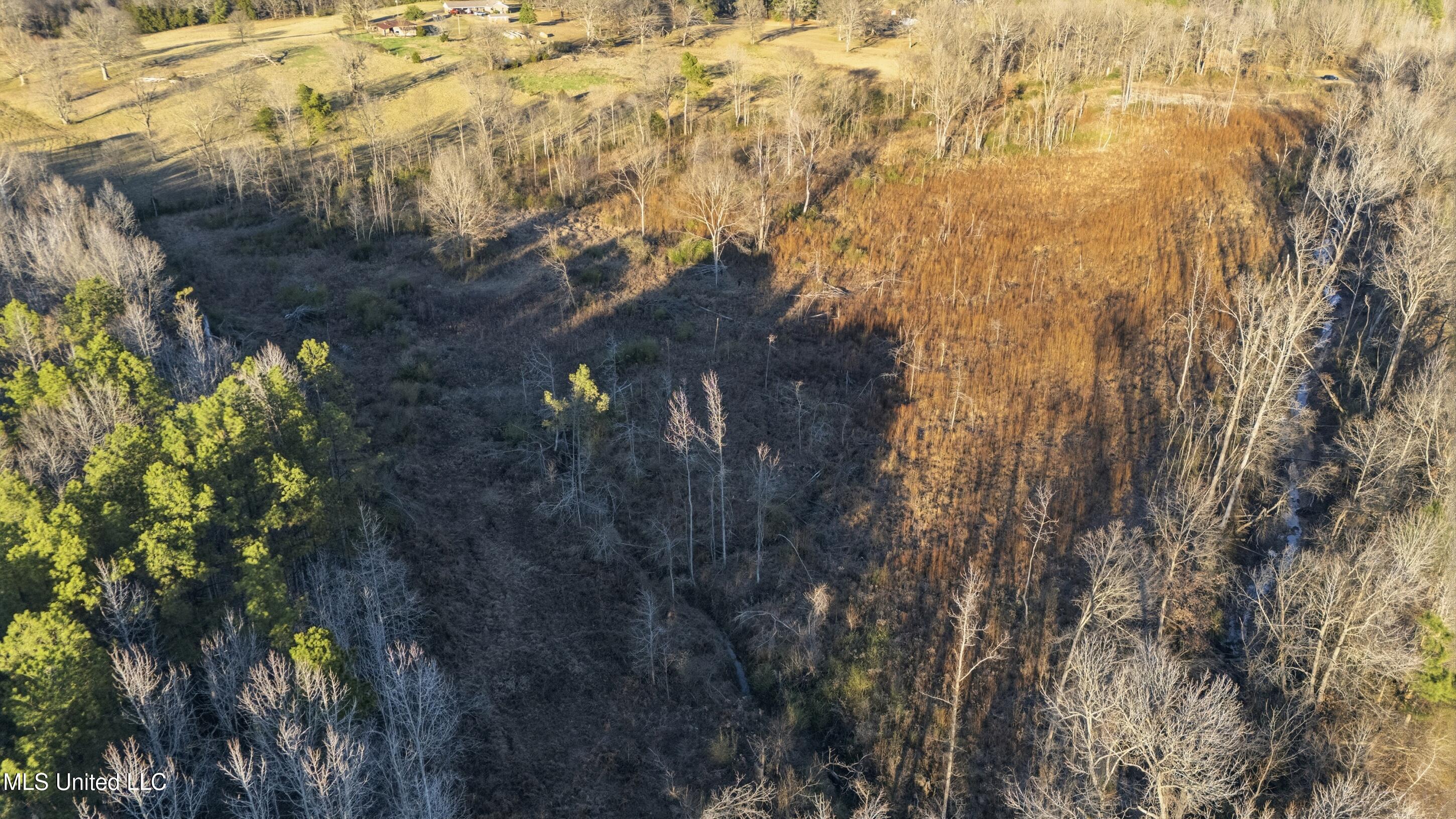 Gravel Springs Road Property Photo 2