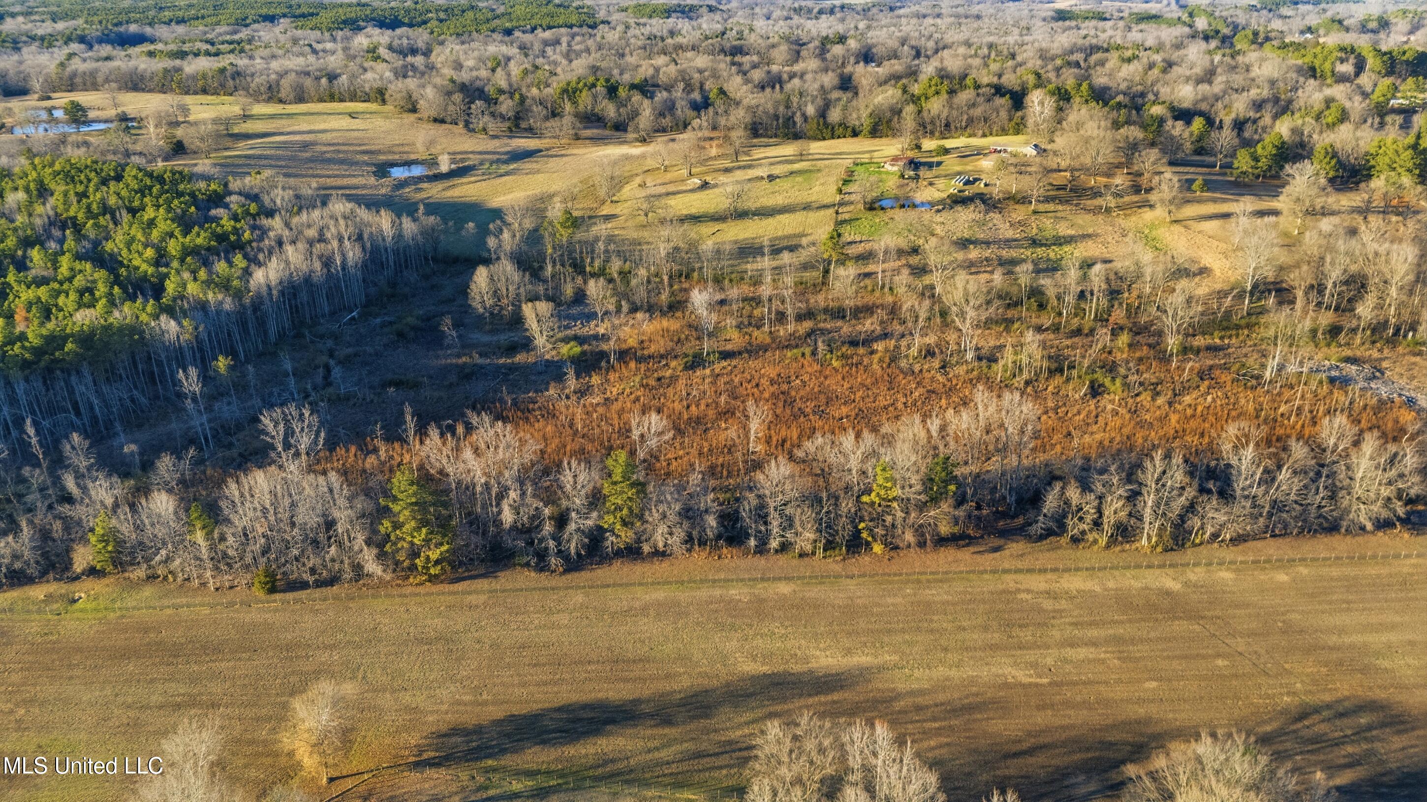 Gravel Springs Road Property Photo 4