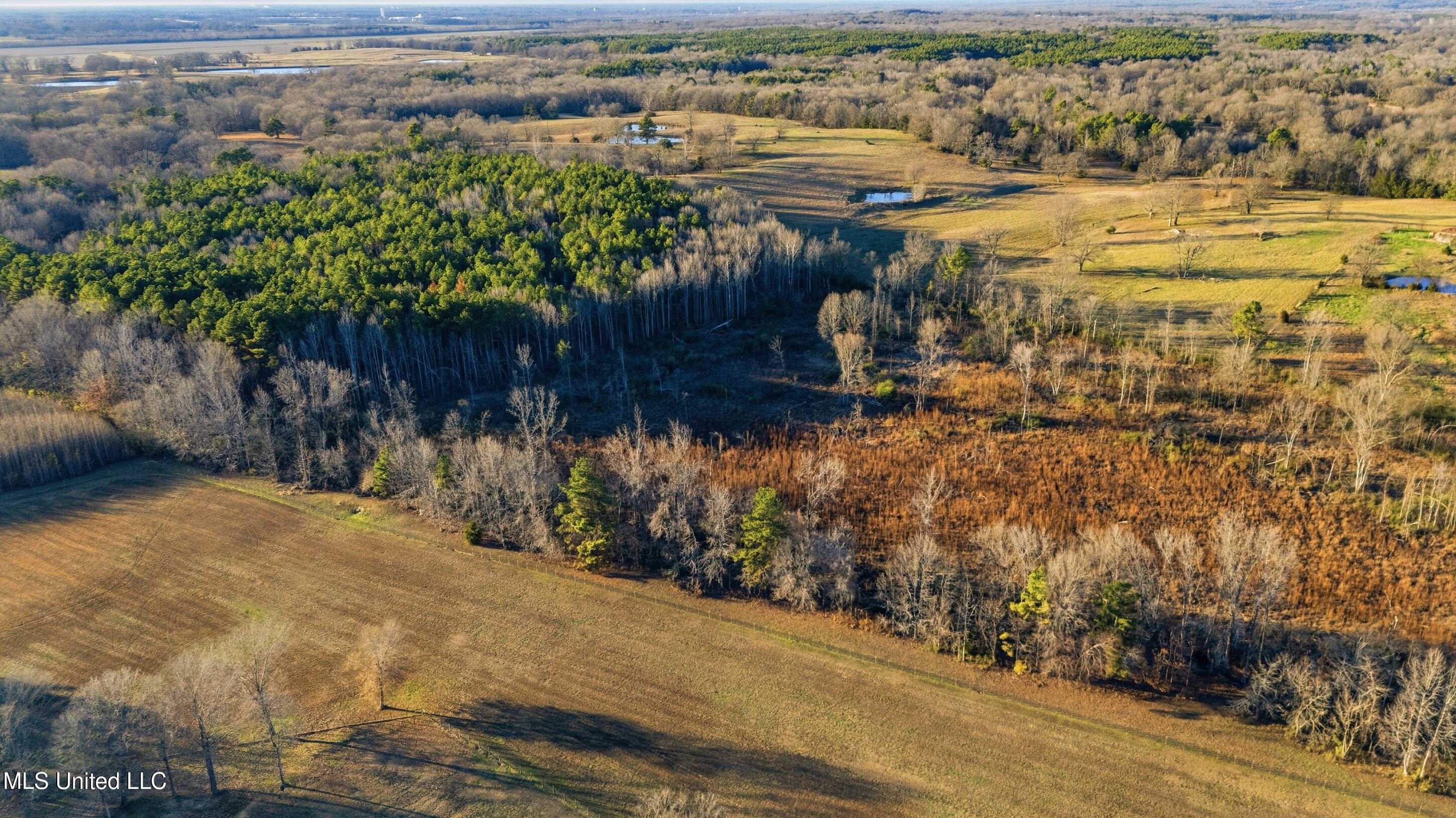 Gravel Springs Road Property Photo 5