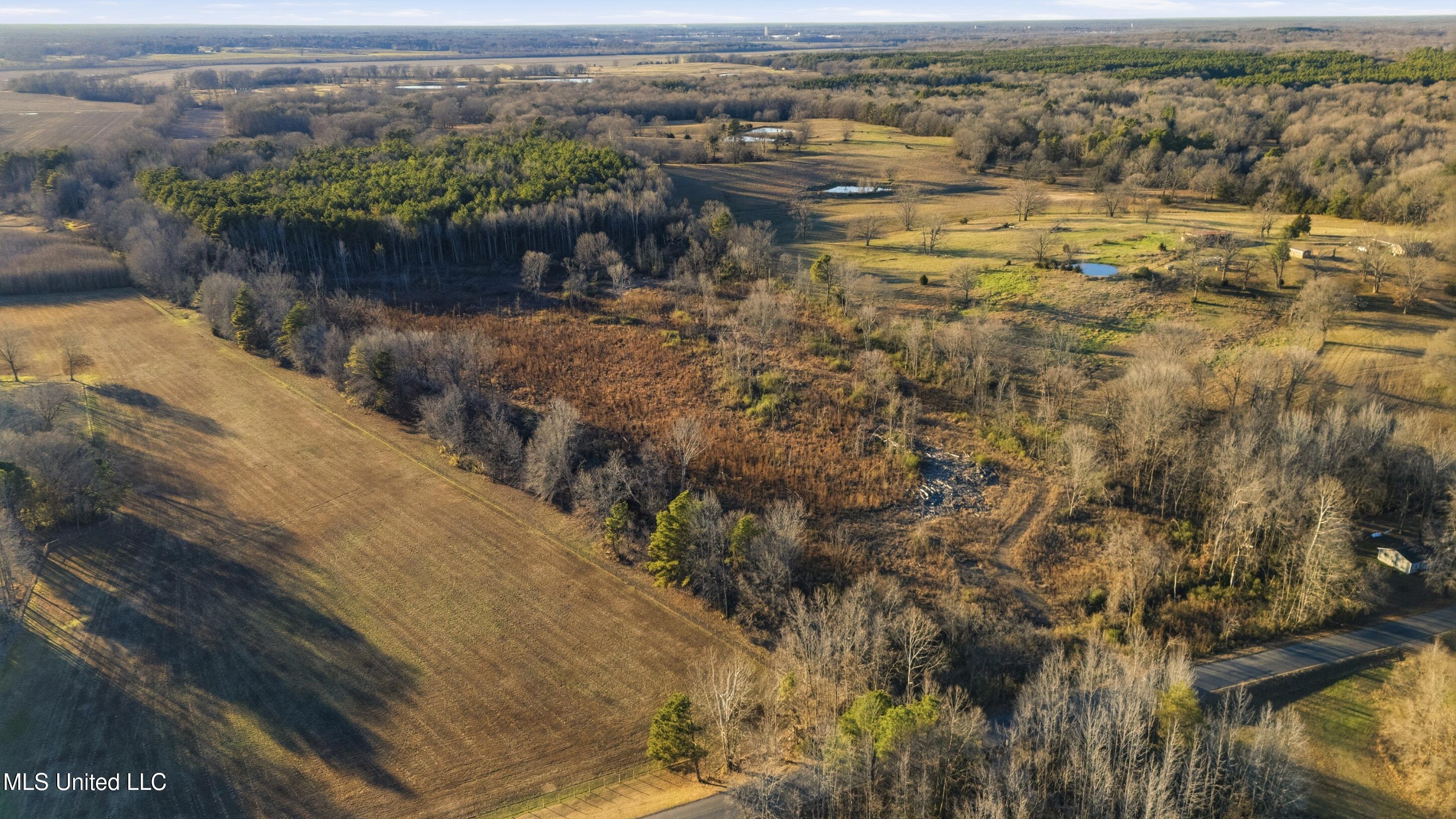 Gravel Springs Road Property Photo 6