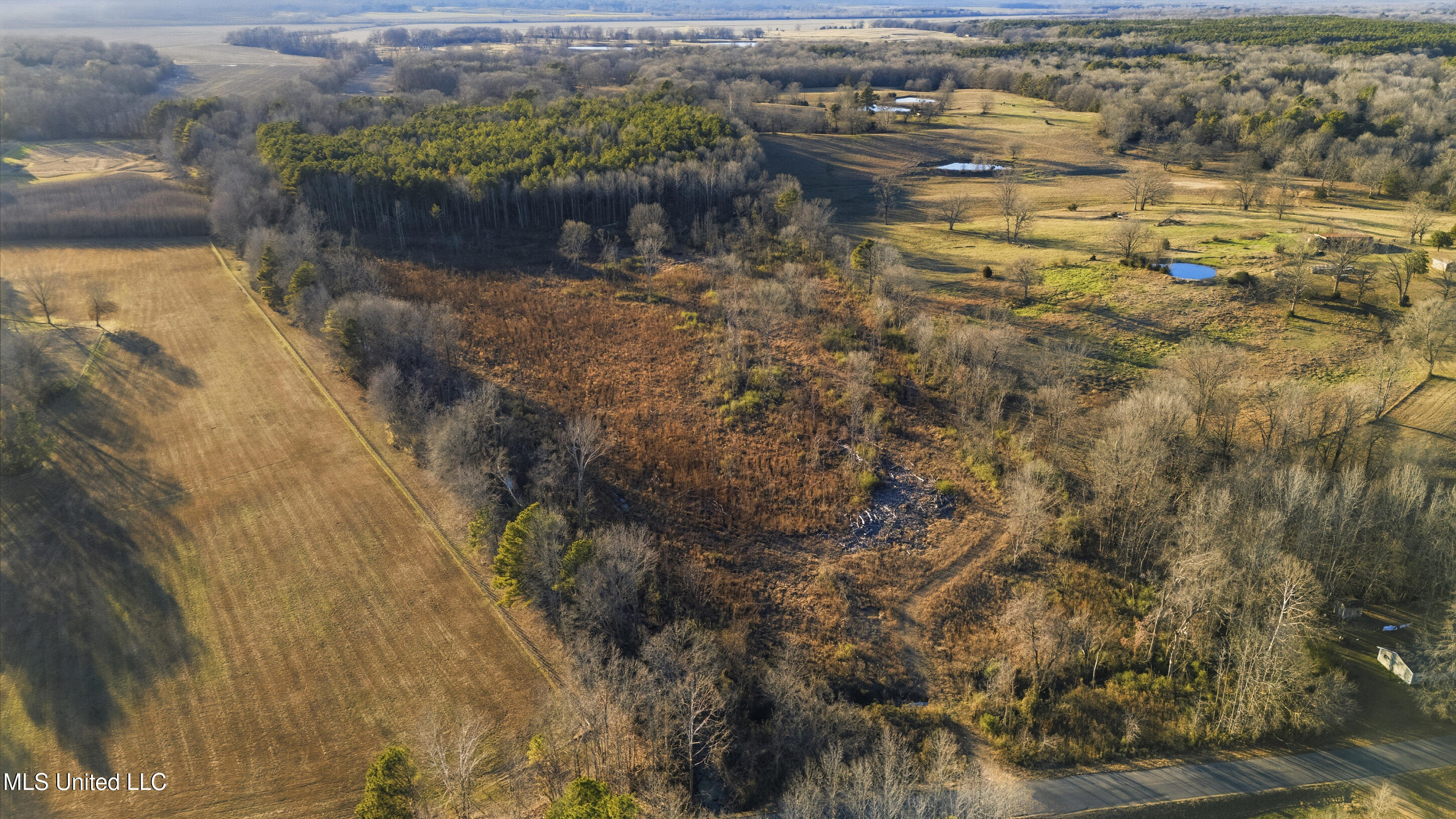 Gravel Springs Road Property Photo 11