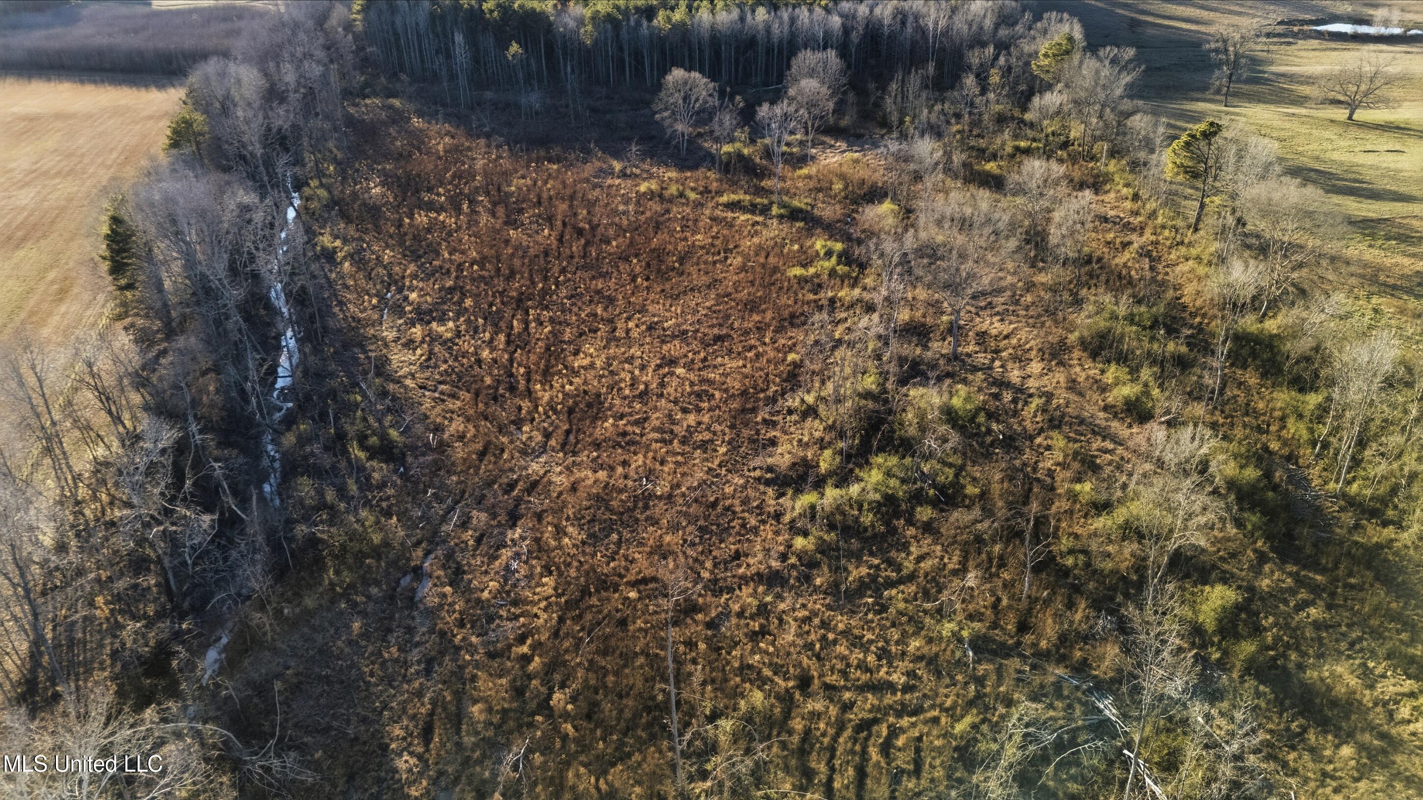 Gravel Springs Road Property Photo 12