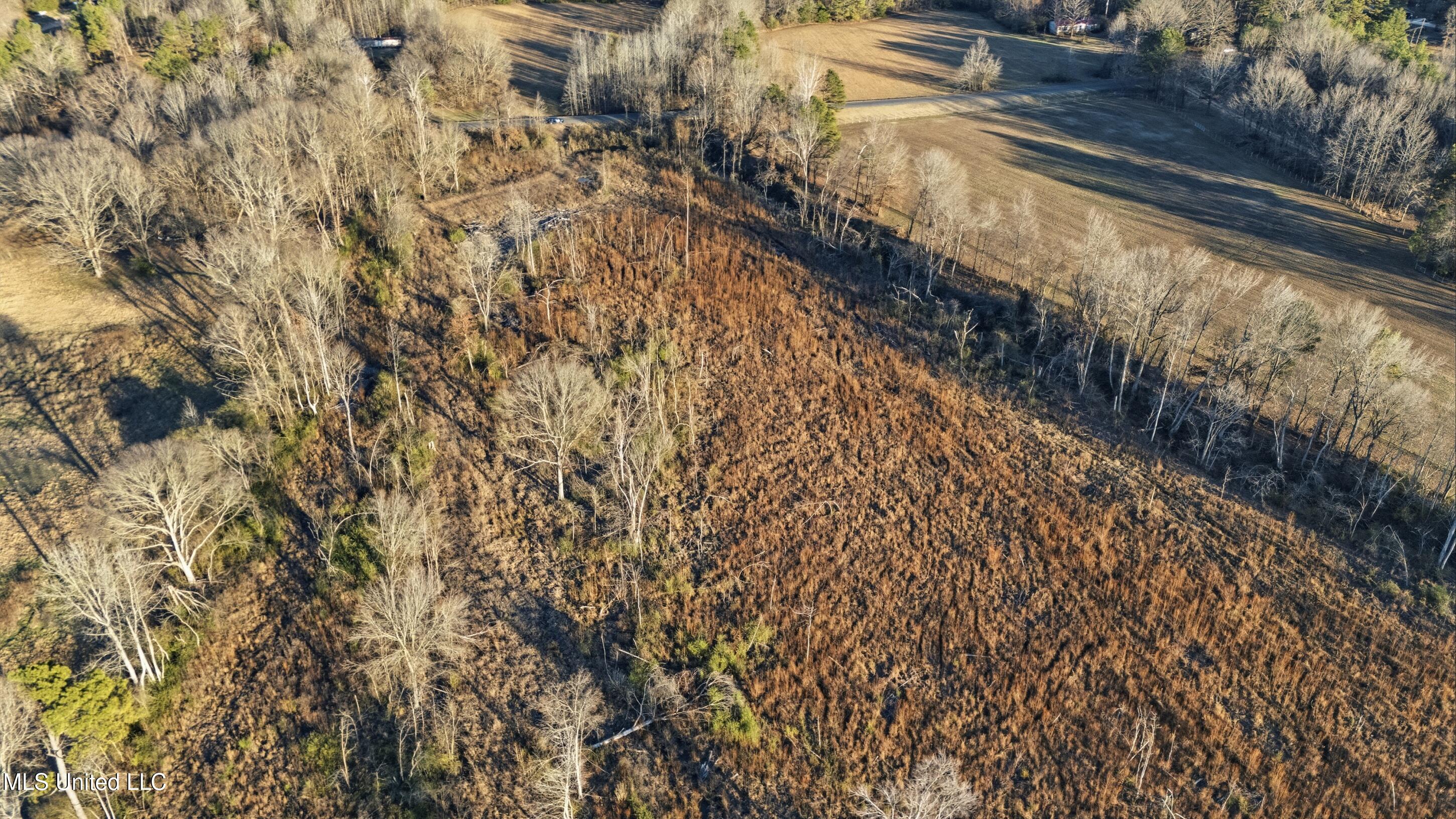 Gravel Springs Road Property Photo 13