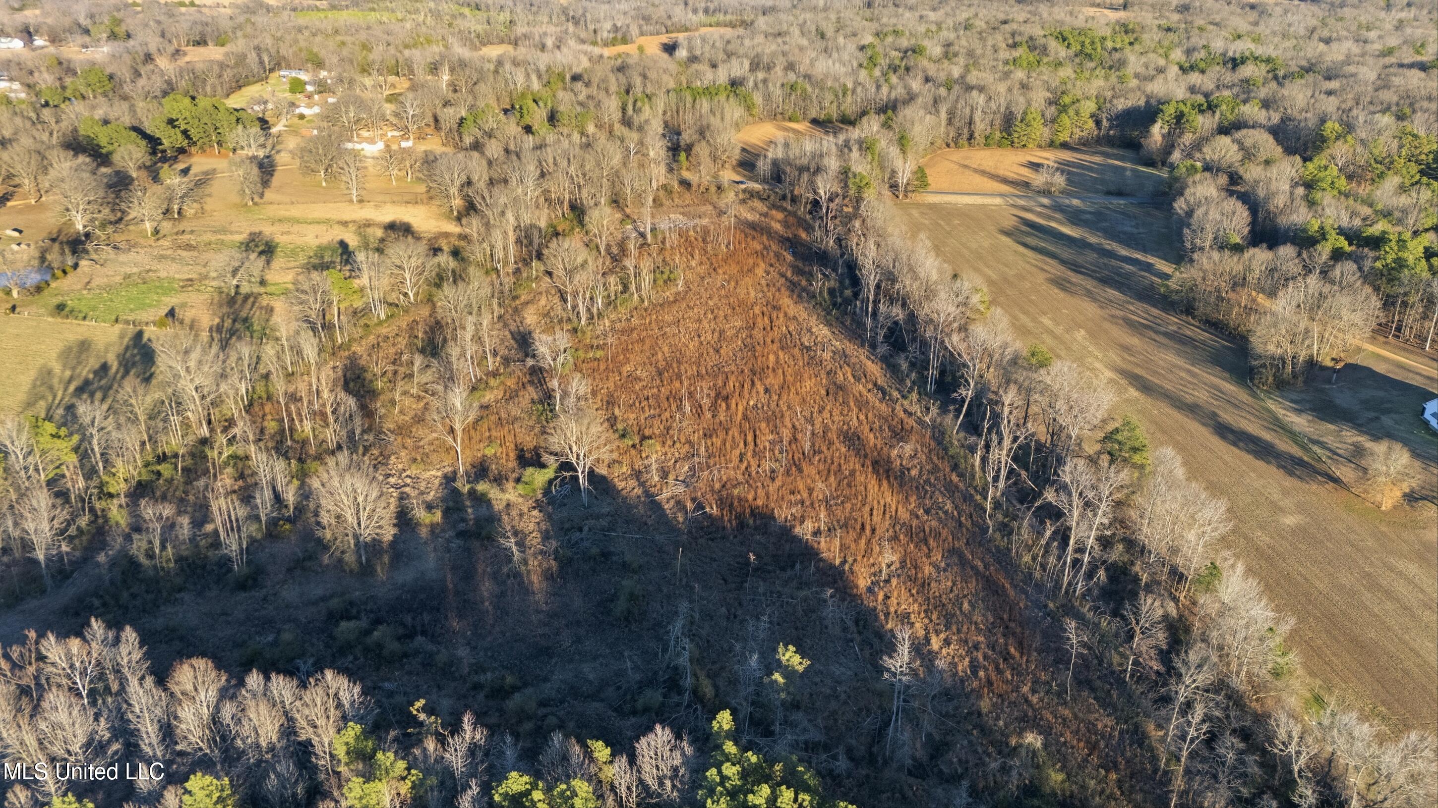 Gravel Springs Road Property Photo 14