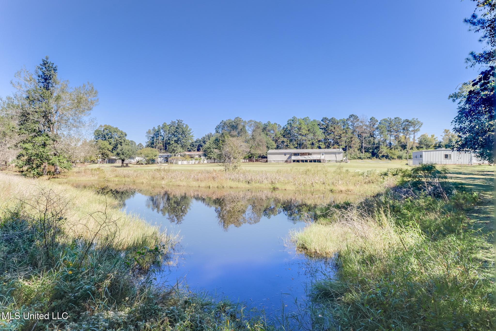 14225 Old Highway 67 Property Photo 4
