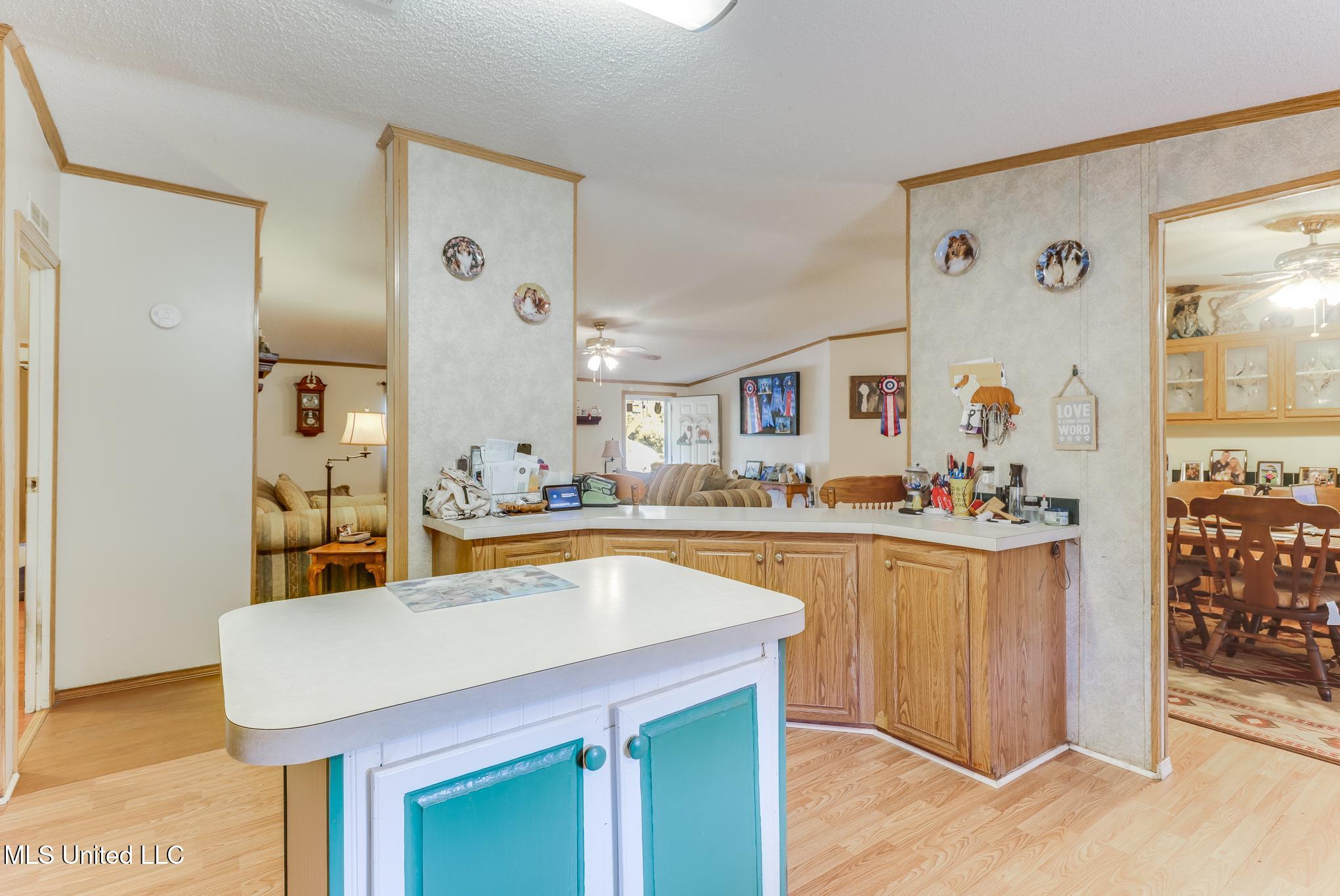 14225 Old Highway 67 Property Photo 8