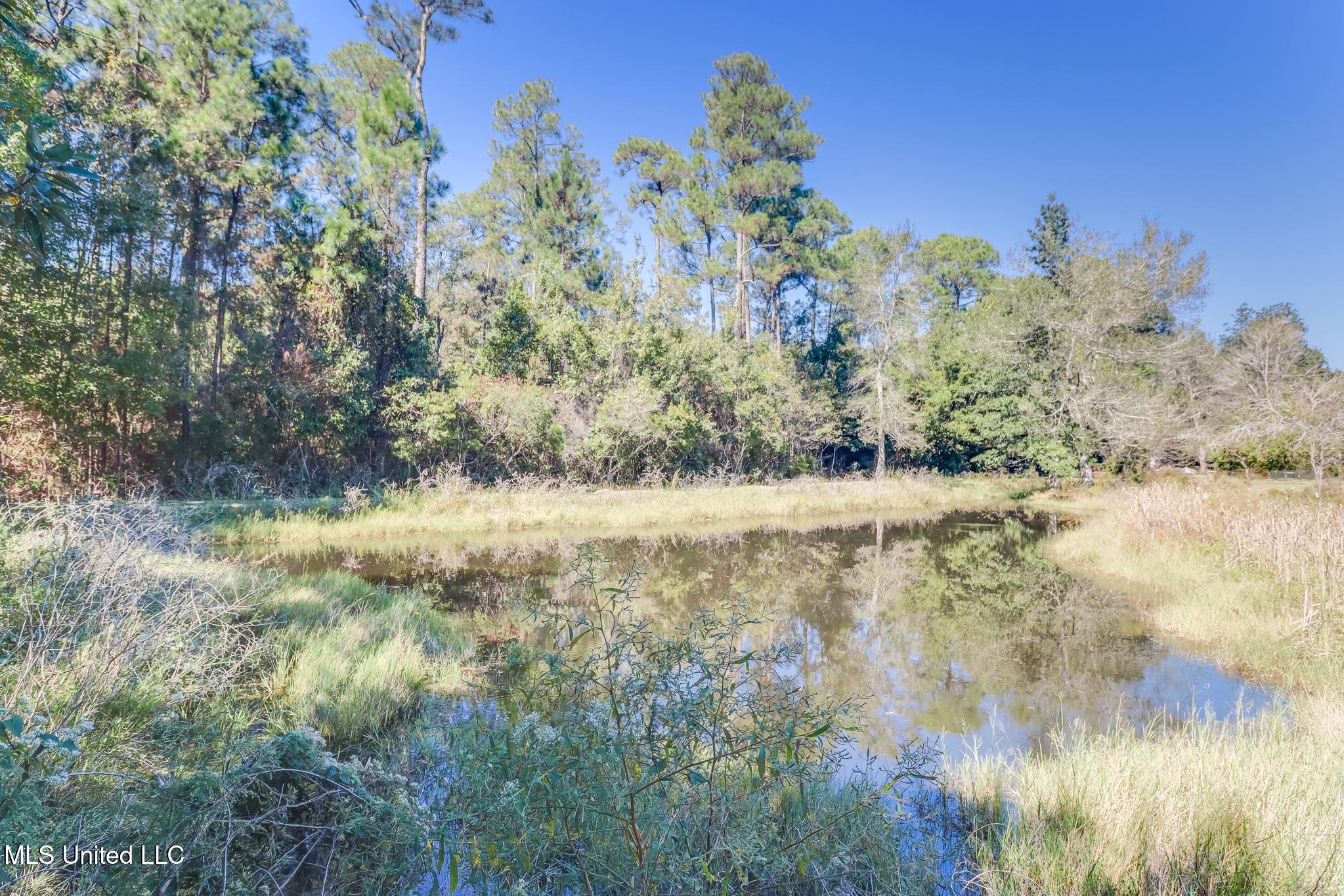 14225 Old Highway 67 Property Photo 27