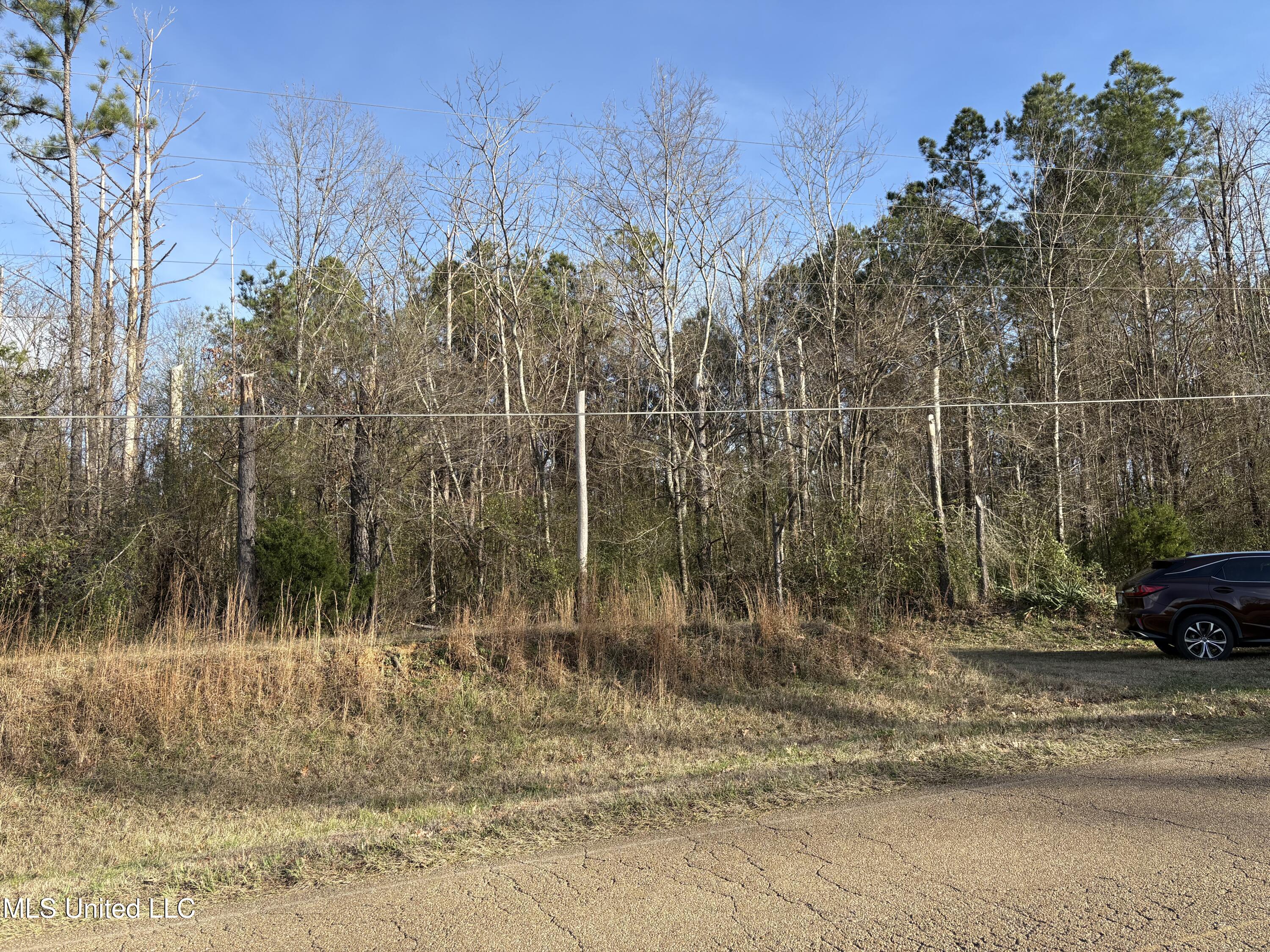 0 N Siwell Road Property Photo 4