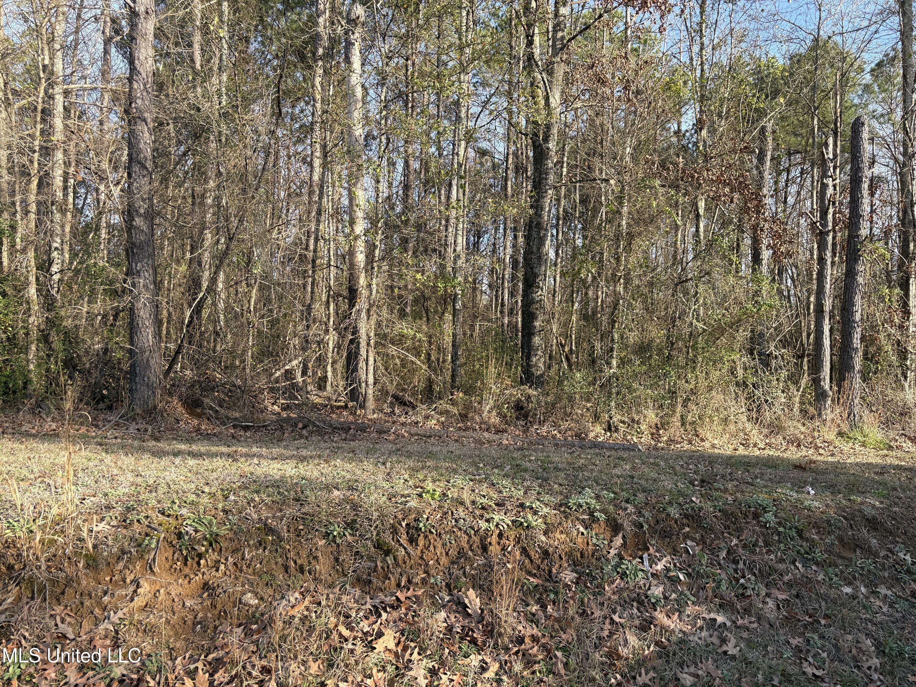 0 N Siwell Road Property Photo 11