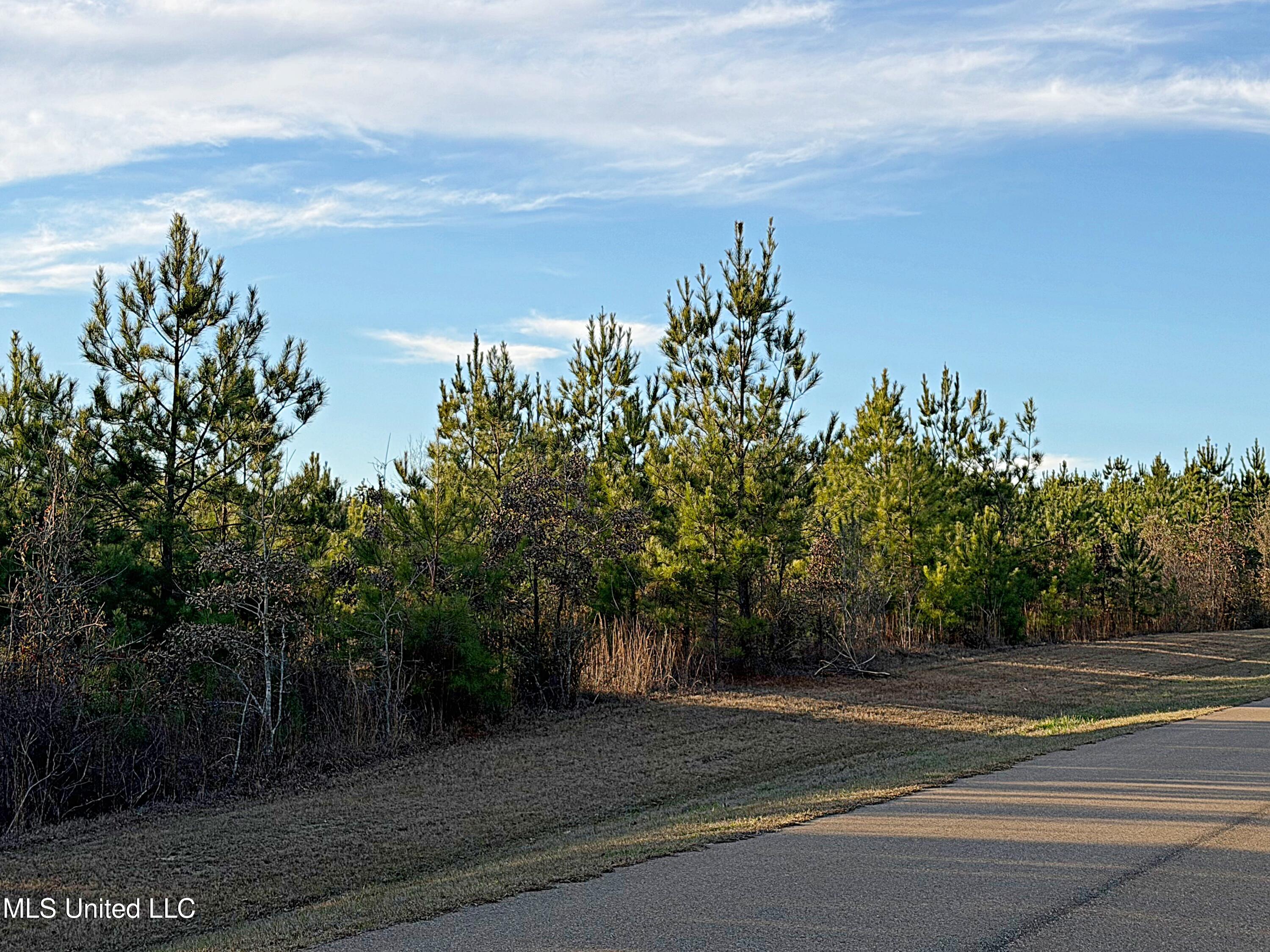 0 Airport Road Property Photo 1