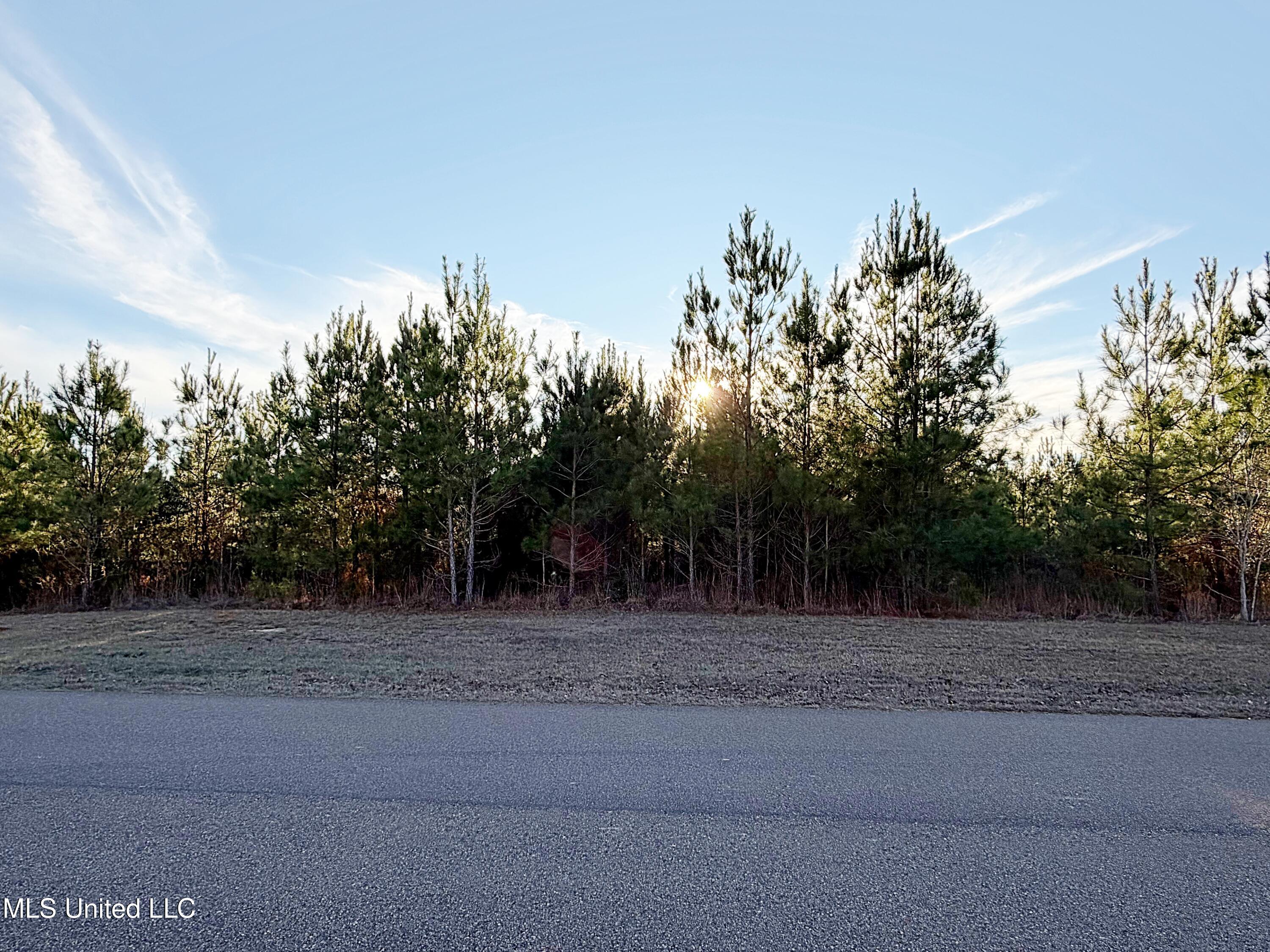 0 Airport Road Property Photo 3