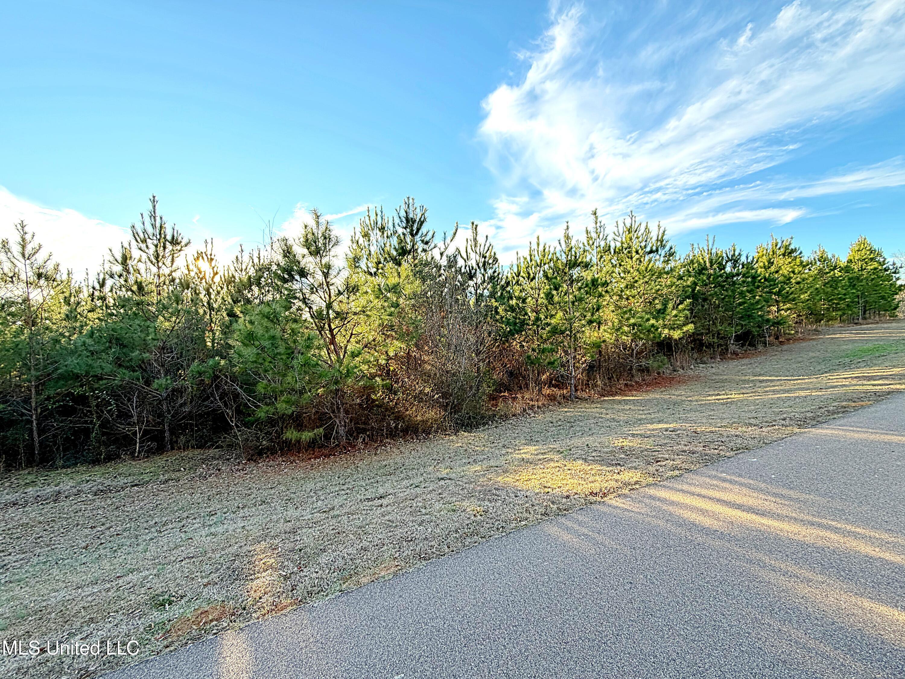 0 Airport Road Property Photo 4