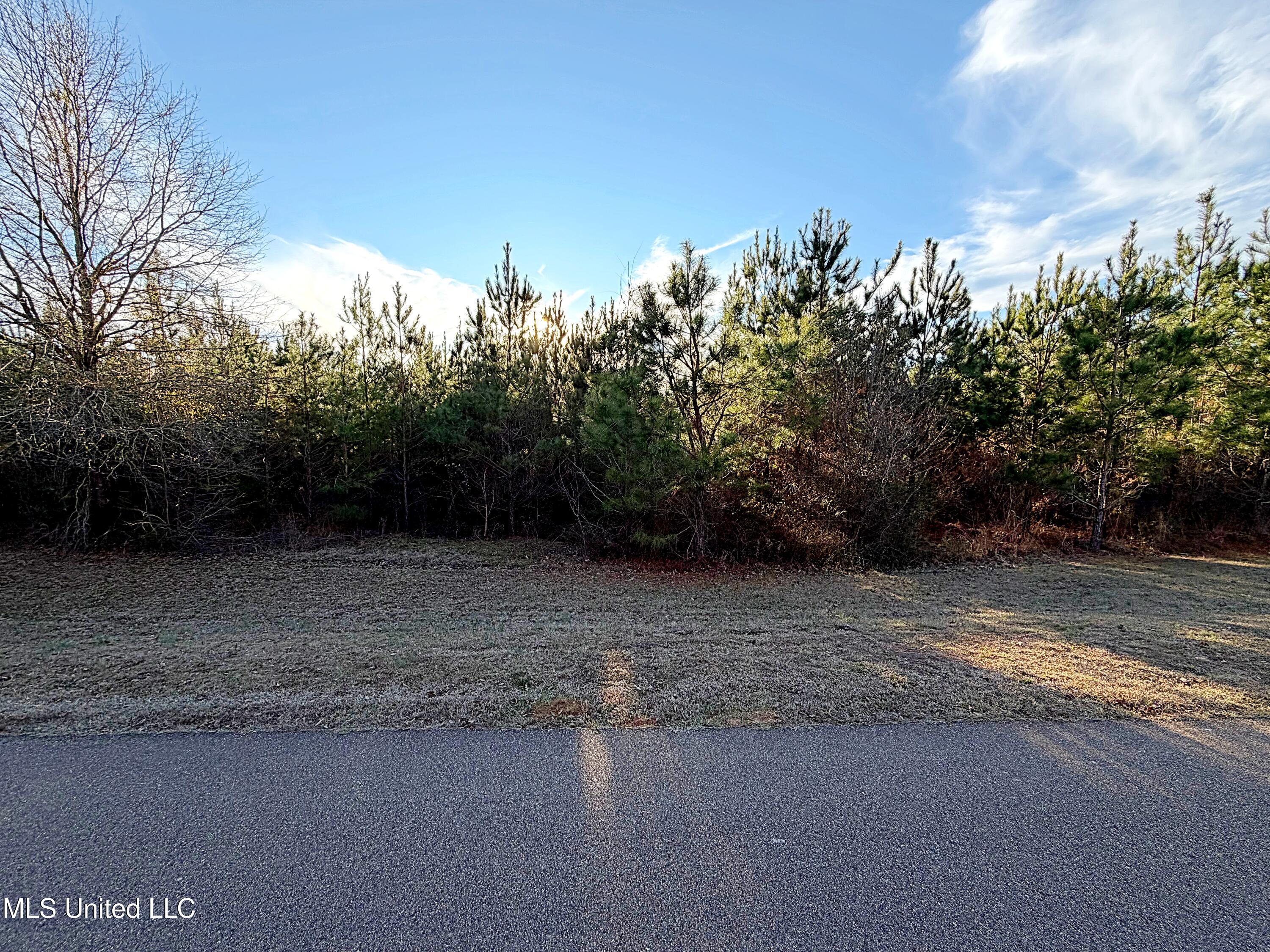 0 Airport Road Property Photo 5