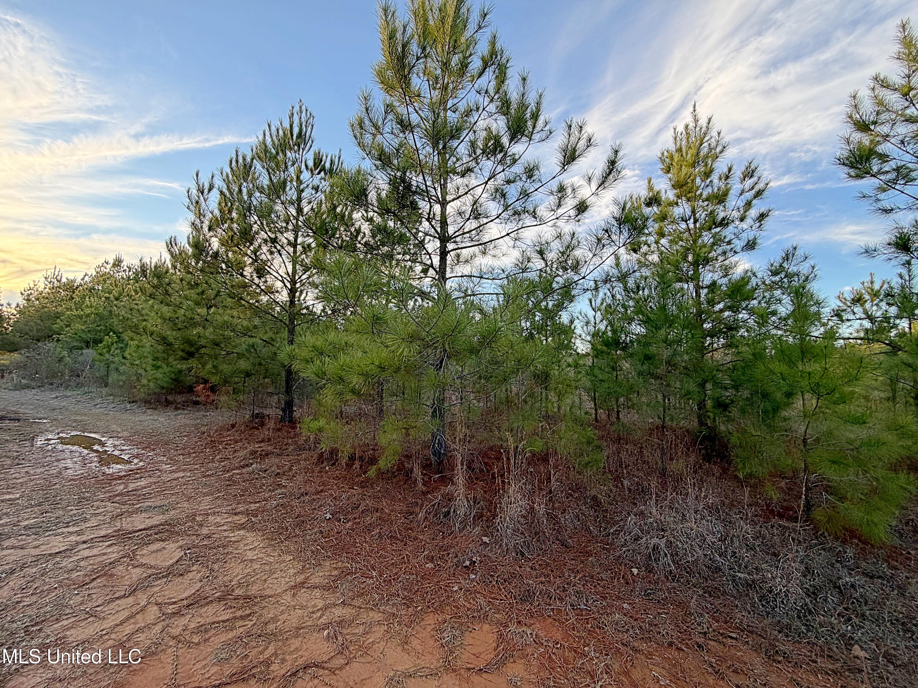 00 Airport Road Property Photo 3