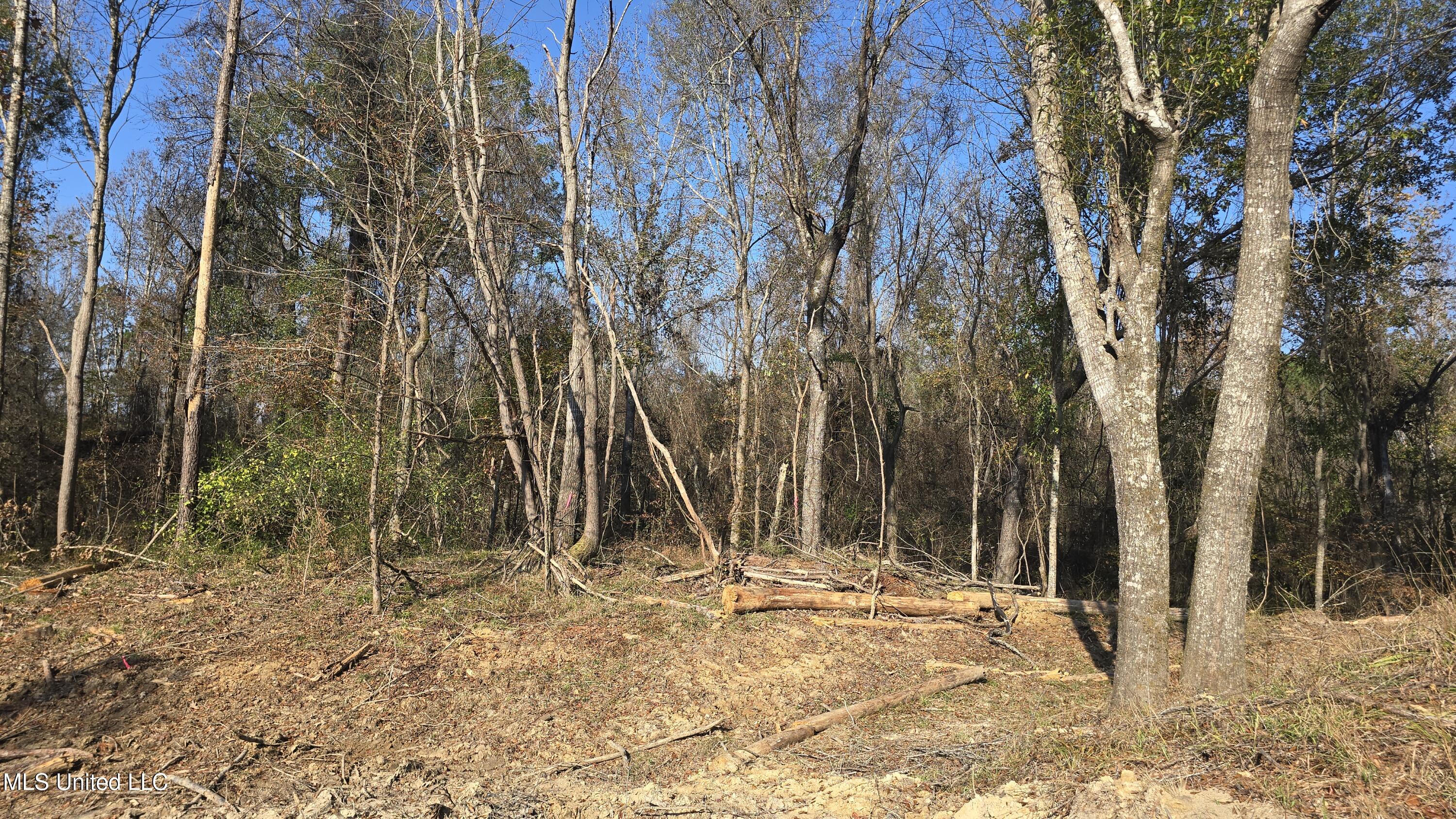 134 Dale Drive Property Photo 2