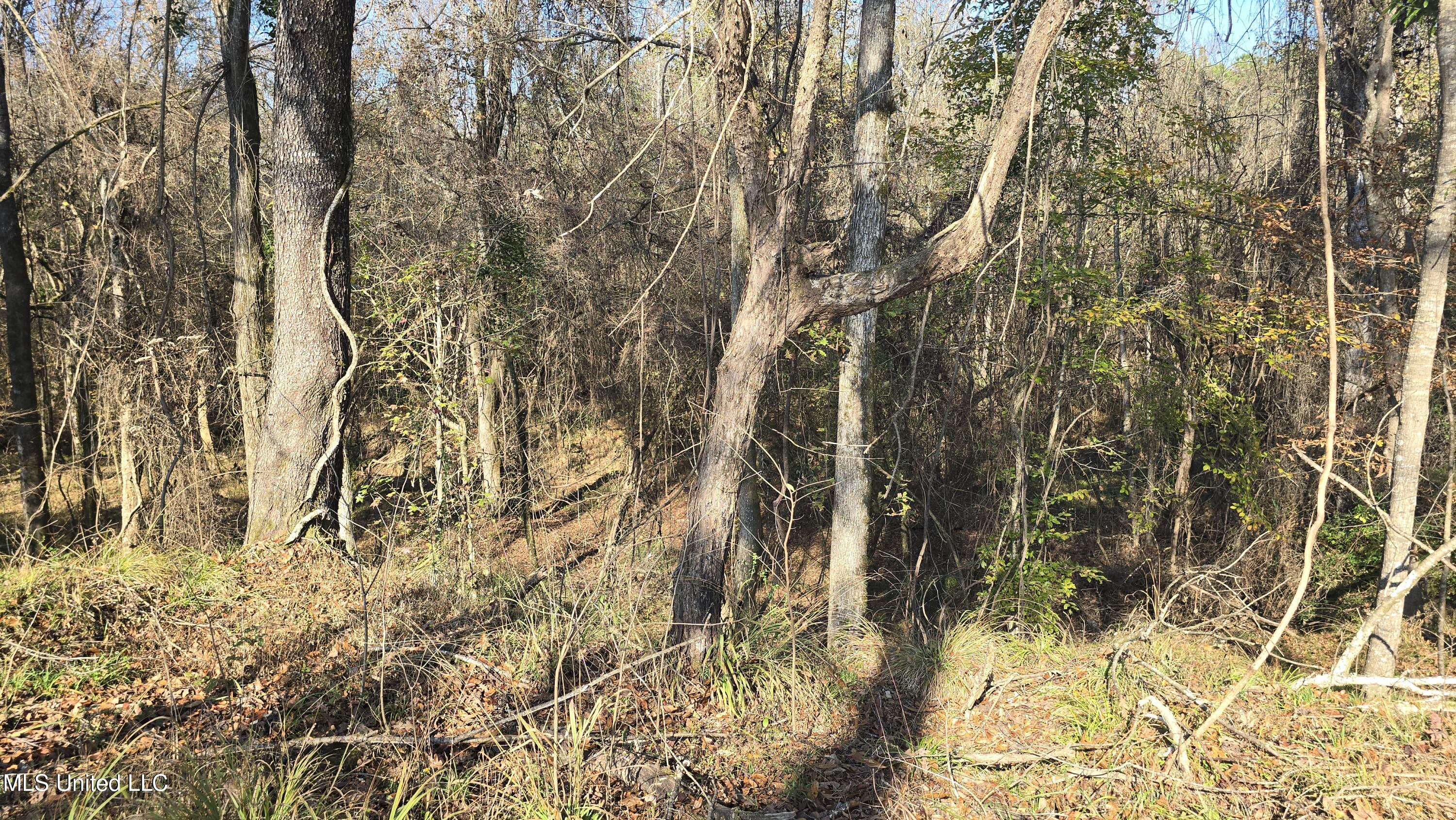 134 Dale Drive Property Photo 3