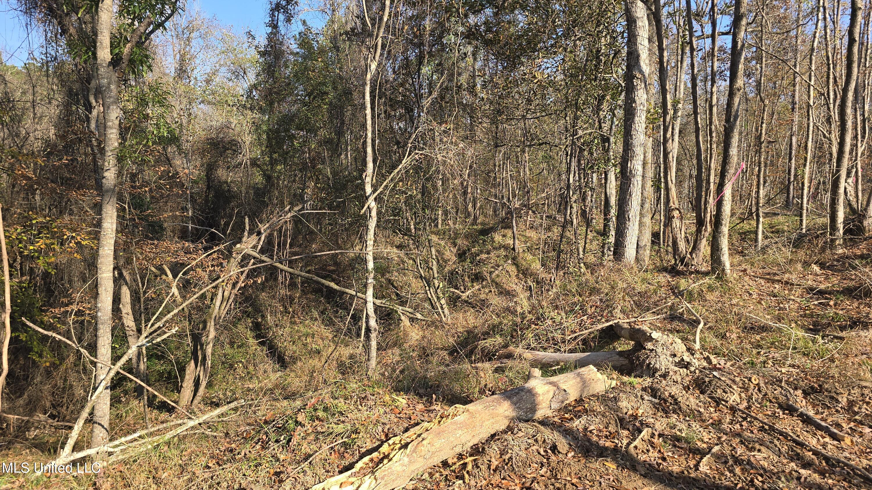134 Dale Drive Property Photo 4