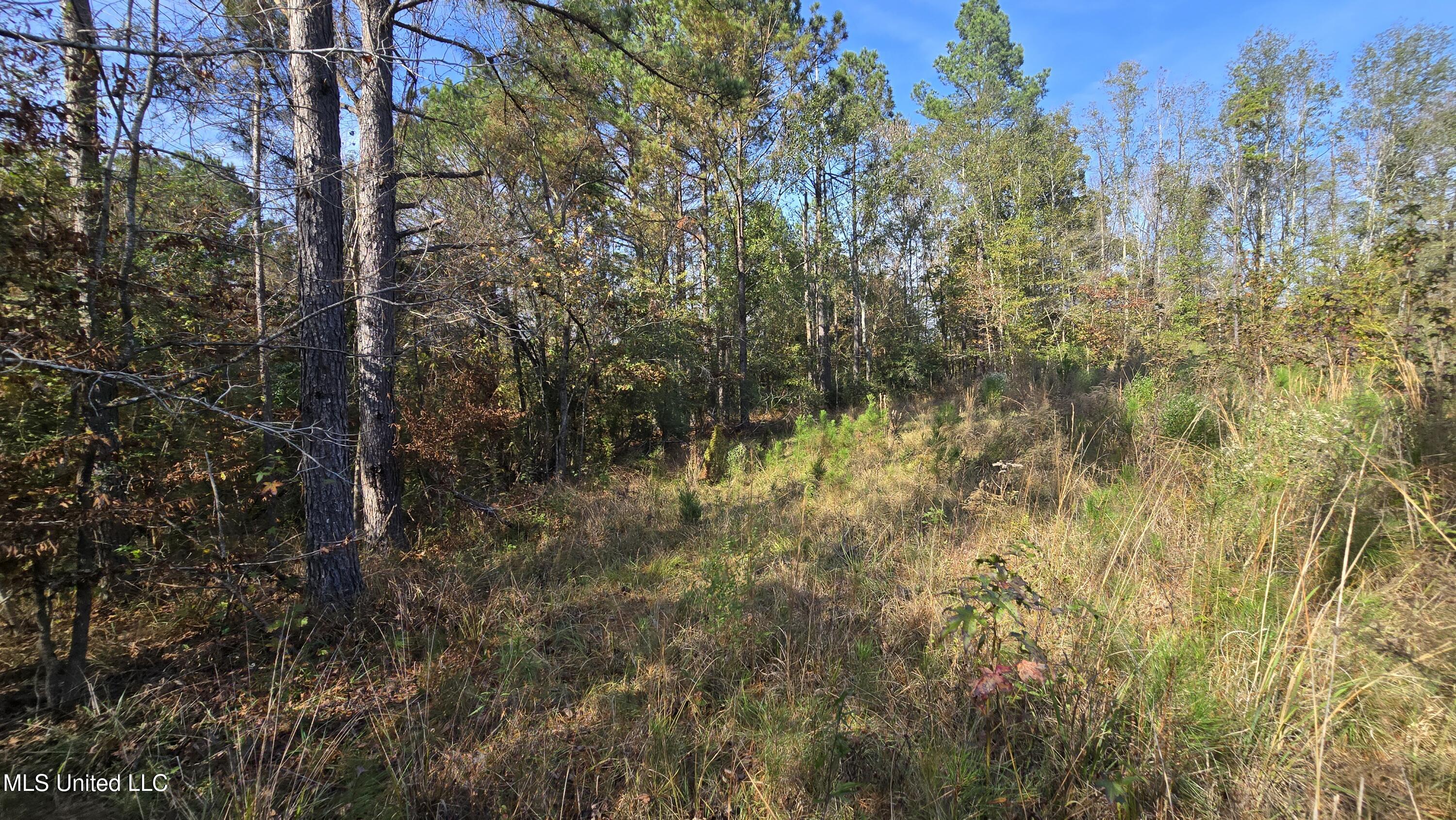 134 Dale Drive Property Photo 8