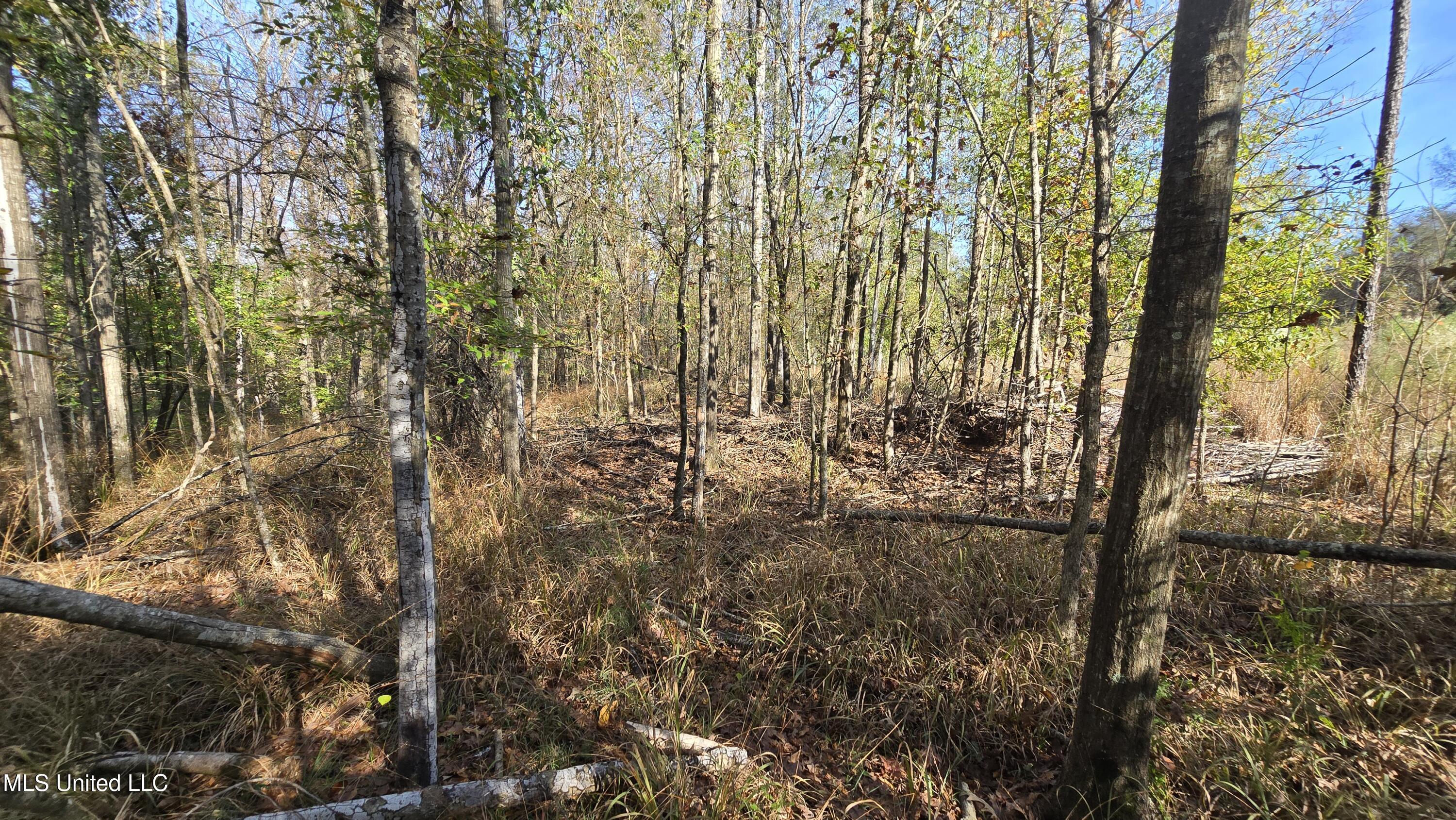 134 Dale Drive Property Photo 10