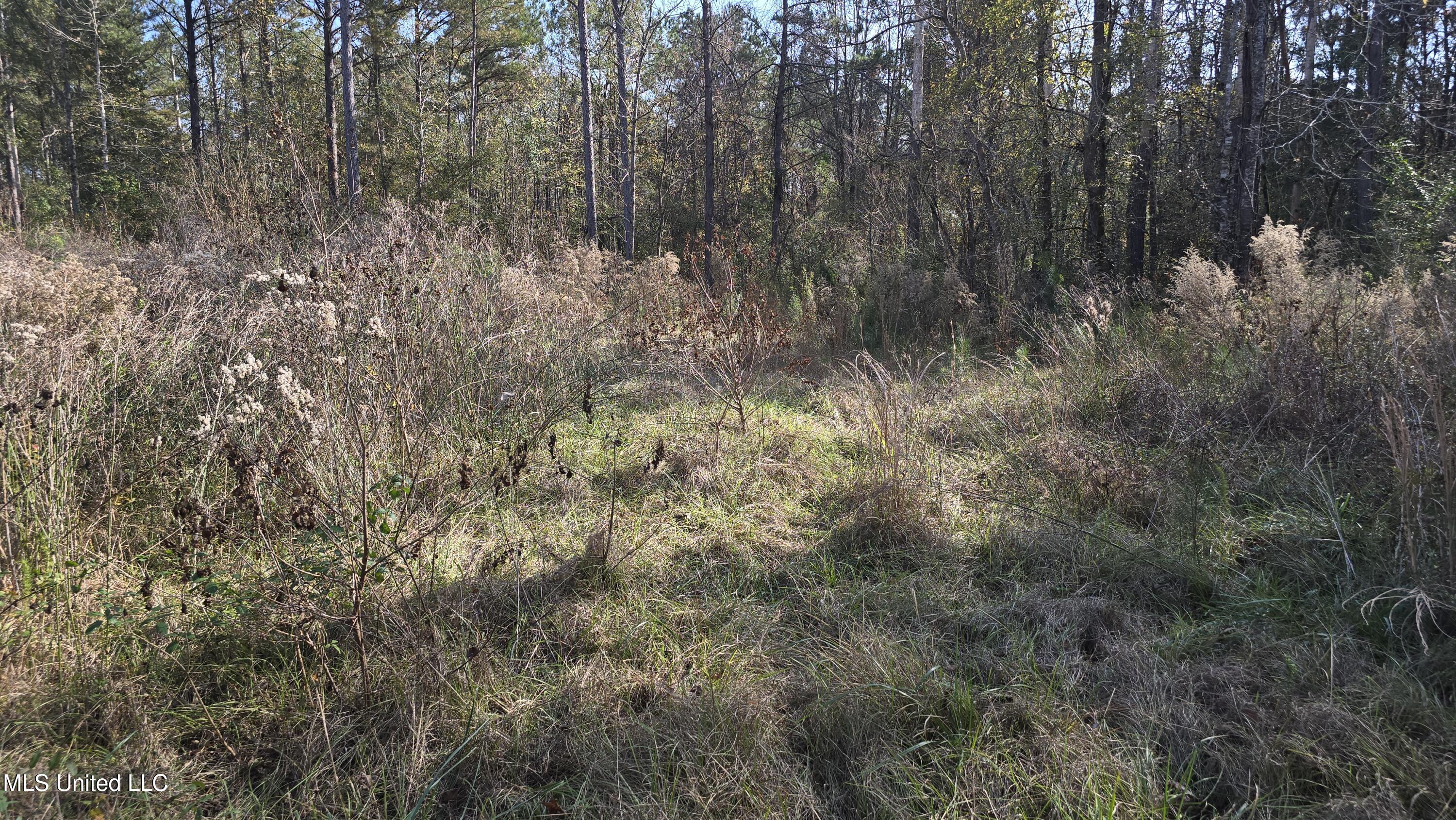 134 Dale Drive Property Photo 12