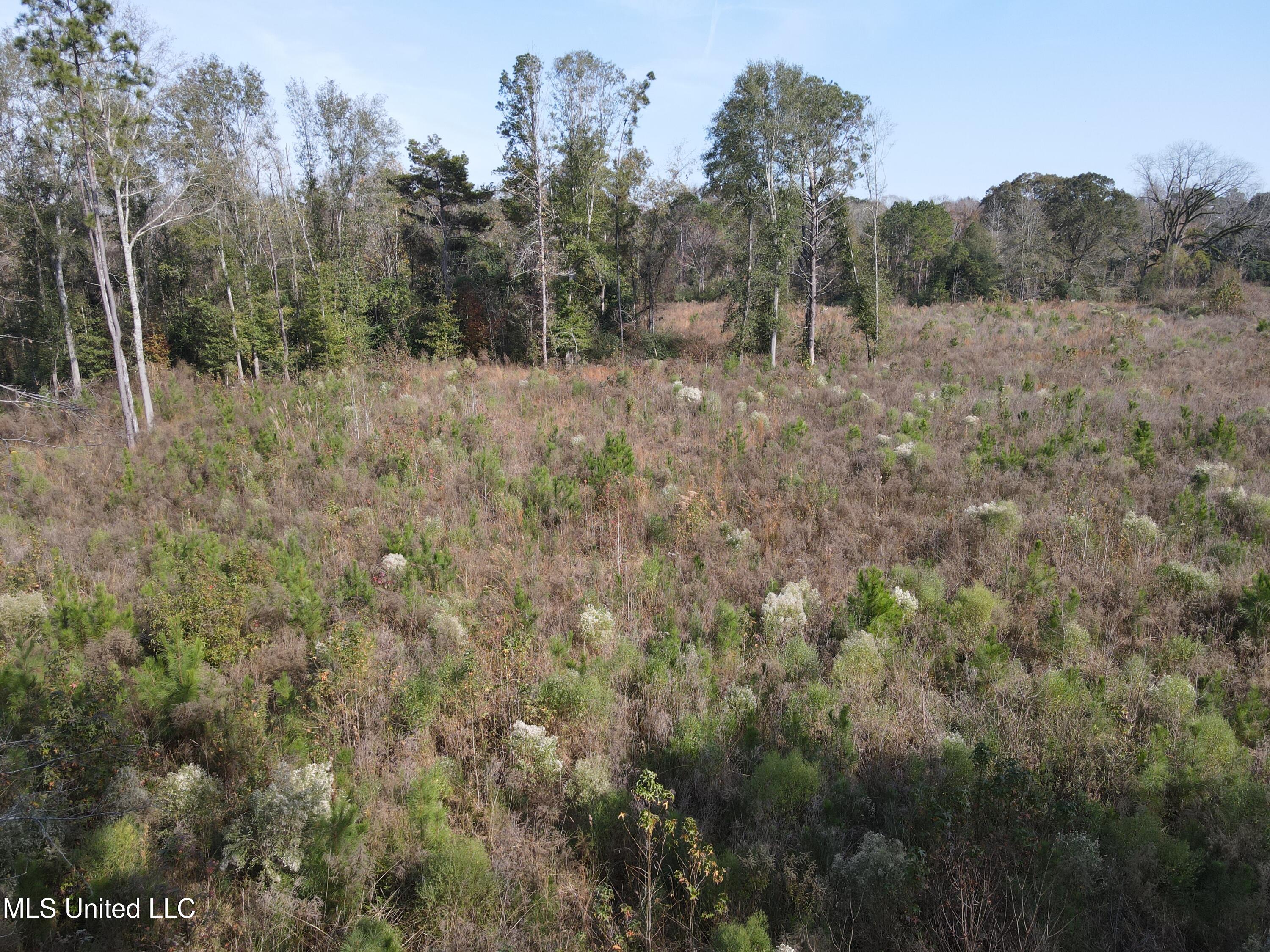 134 Dale Drive Property Photo 35