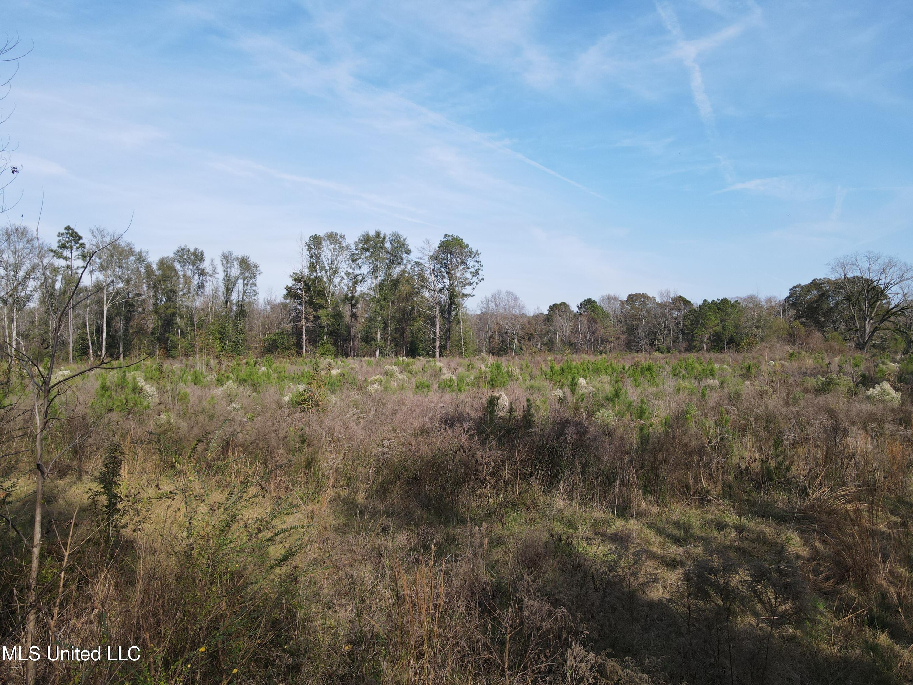 134 Dale Drive Property Photo 36