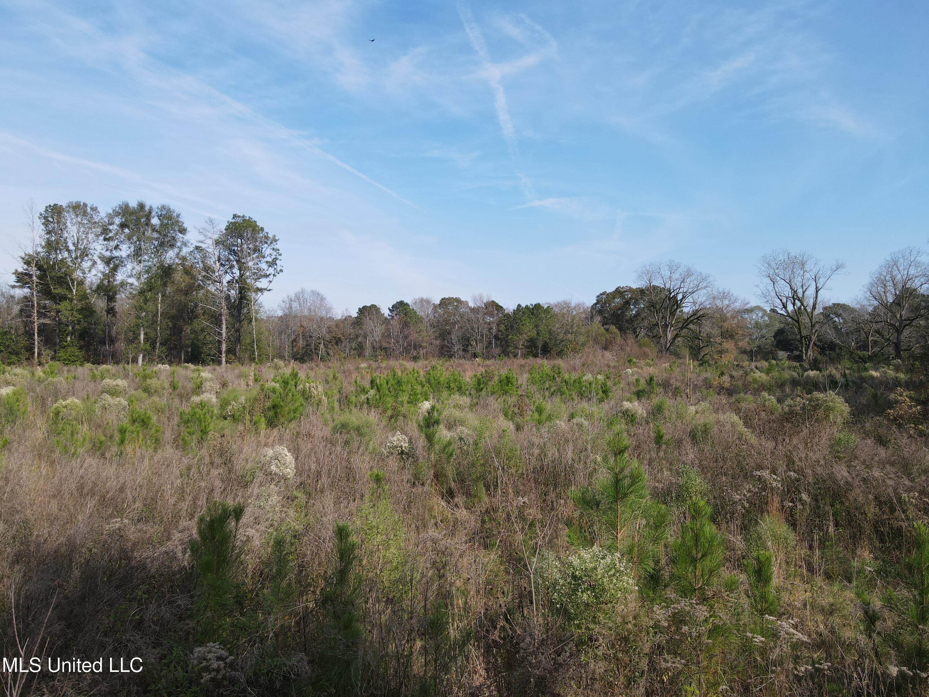 134 Dale Drive Property Photo 37