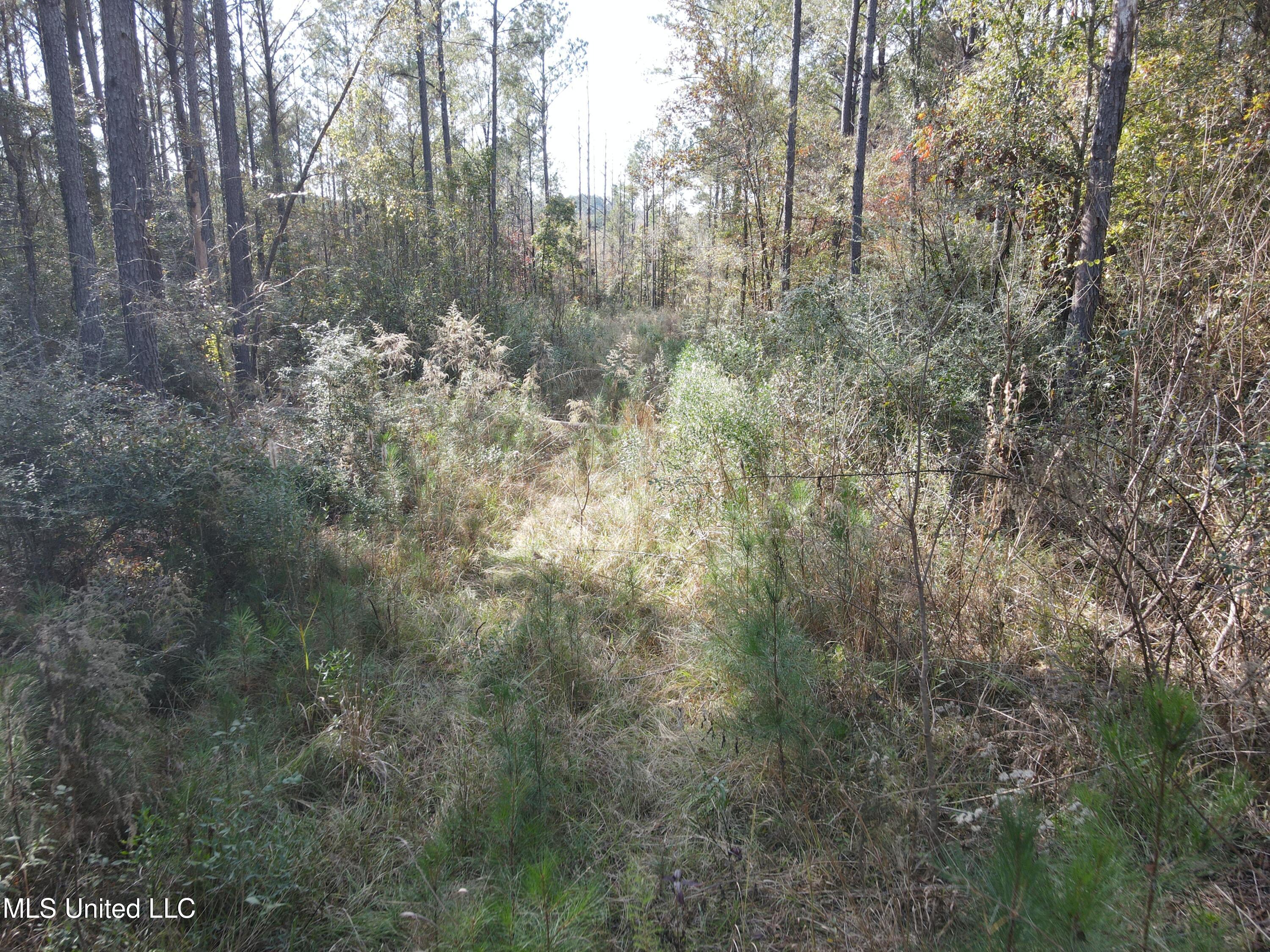 134 Dale Drive Property Photo 39