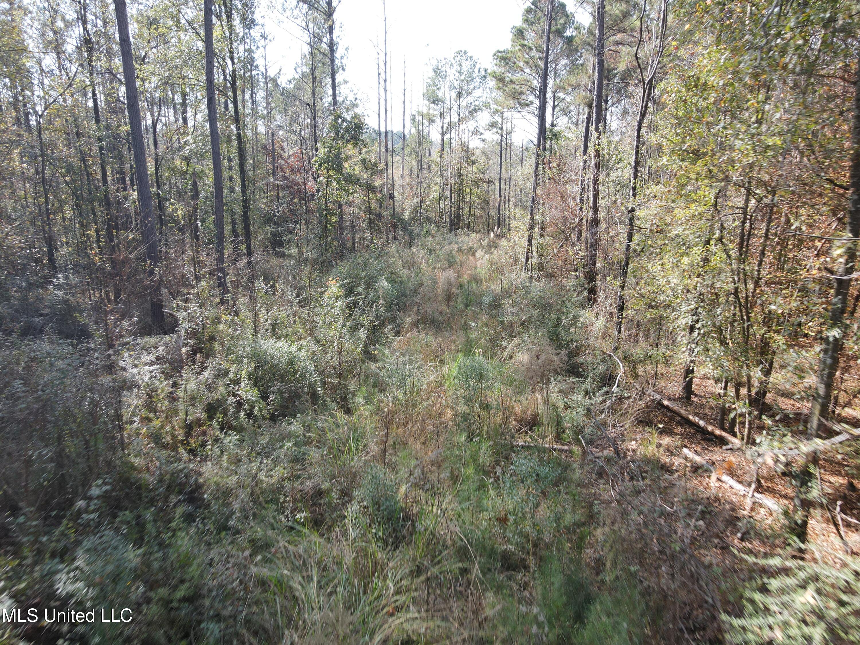 134 Dale Drive Property Photo 40