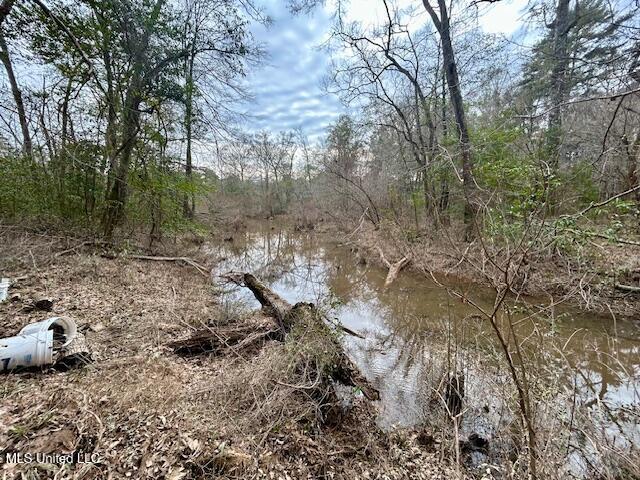 3197 Leatherwood Road Property Photo 15
