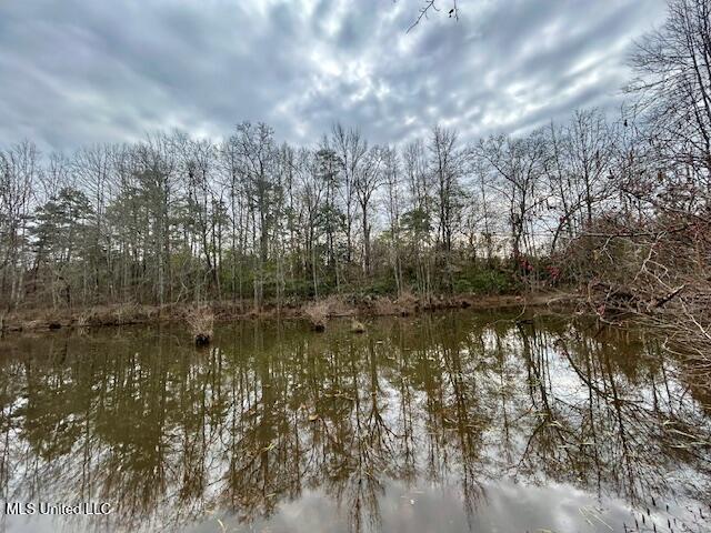 3197 Leatherwood Road Property Photo 25