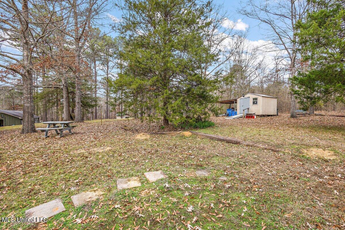 1408 Dunn Road Property Photo 18