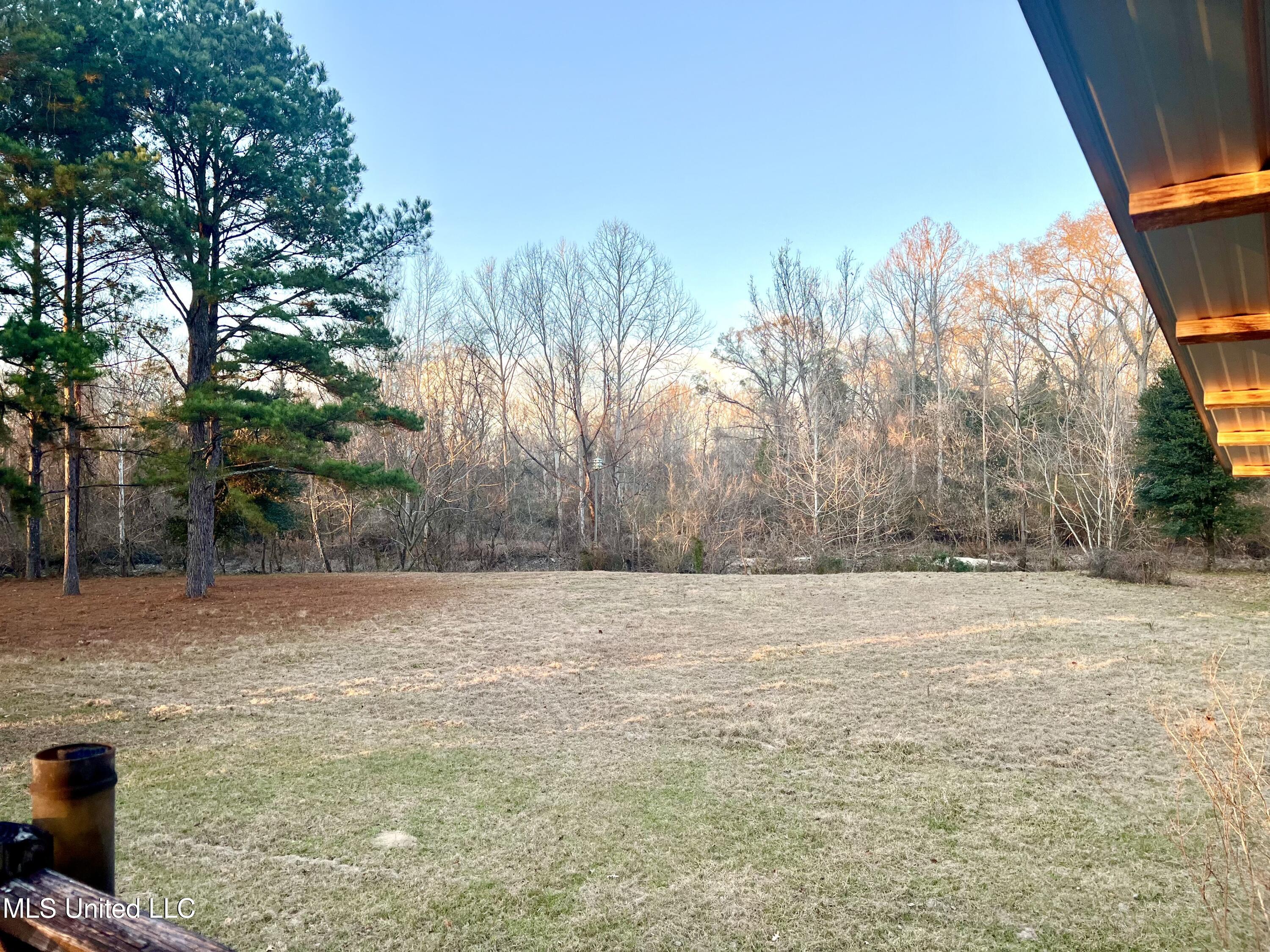 4060 Ms Hwy 24 Property Photo 13