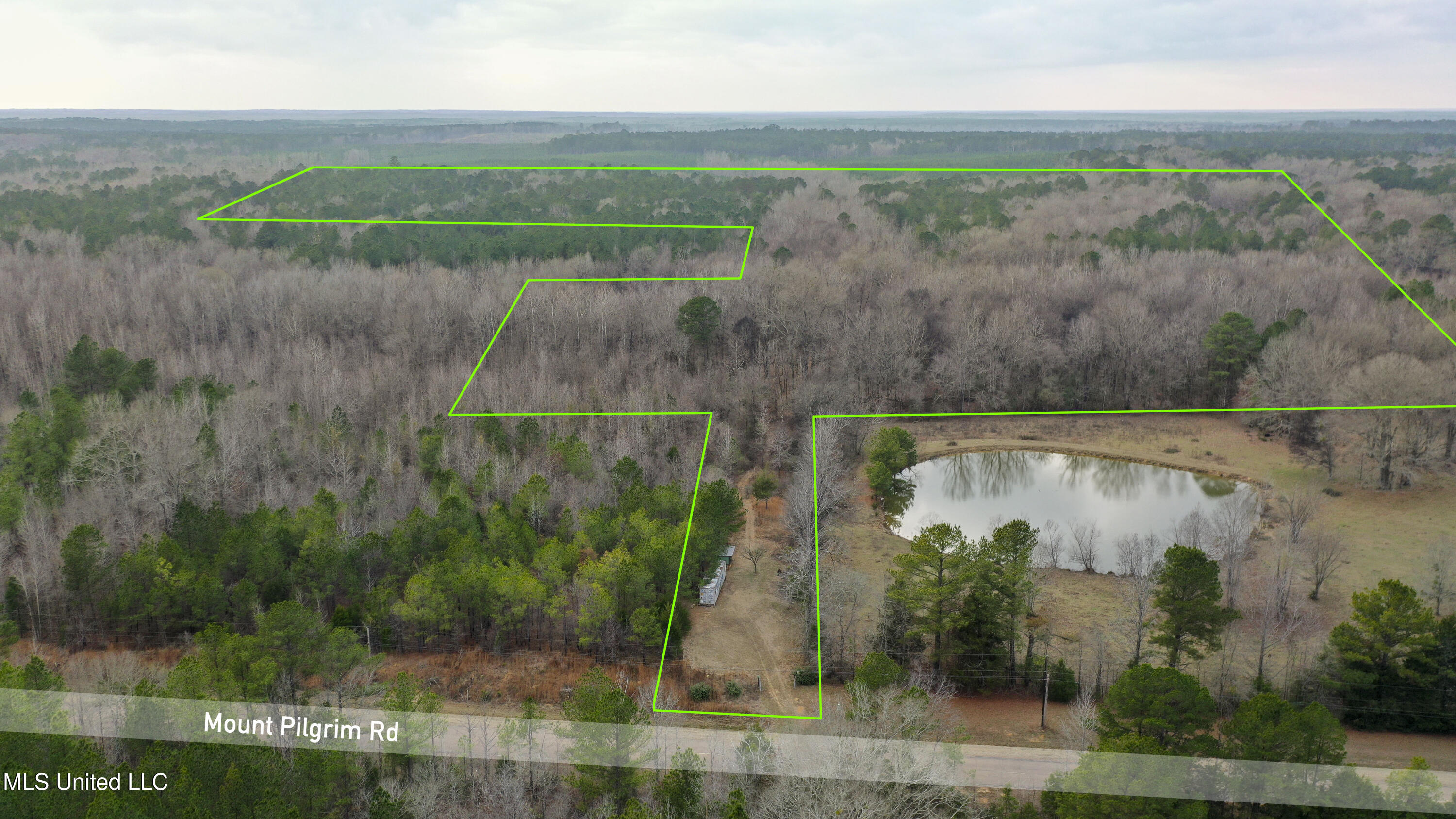 Mount Pilgrim Road Property Photo 1