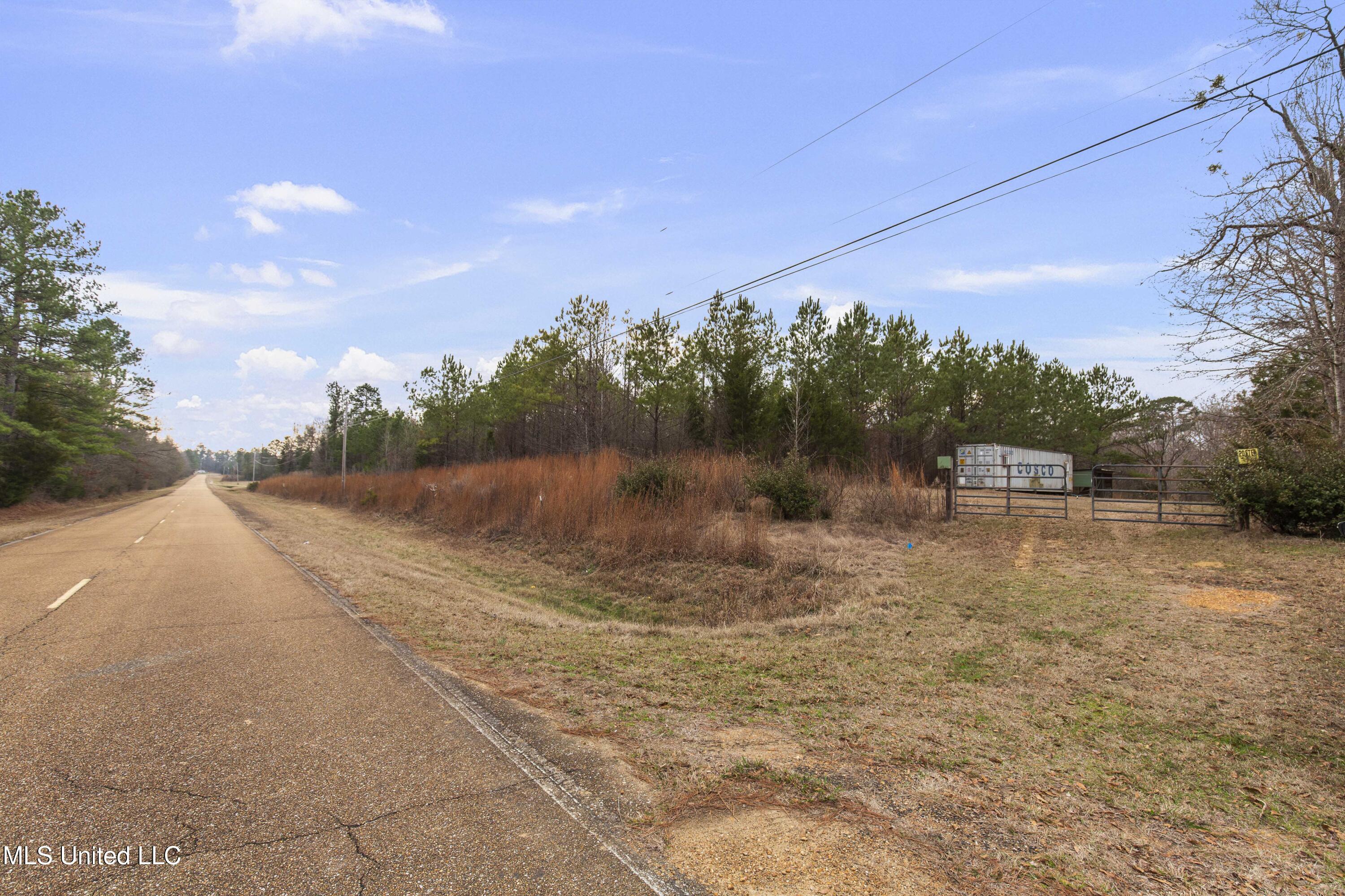 Mount Pilgrim Road Property Photo 3